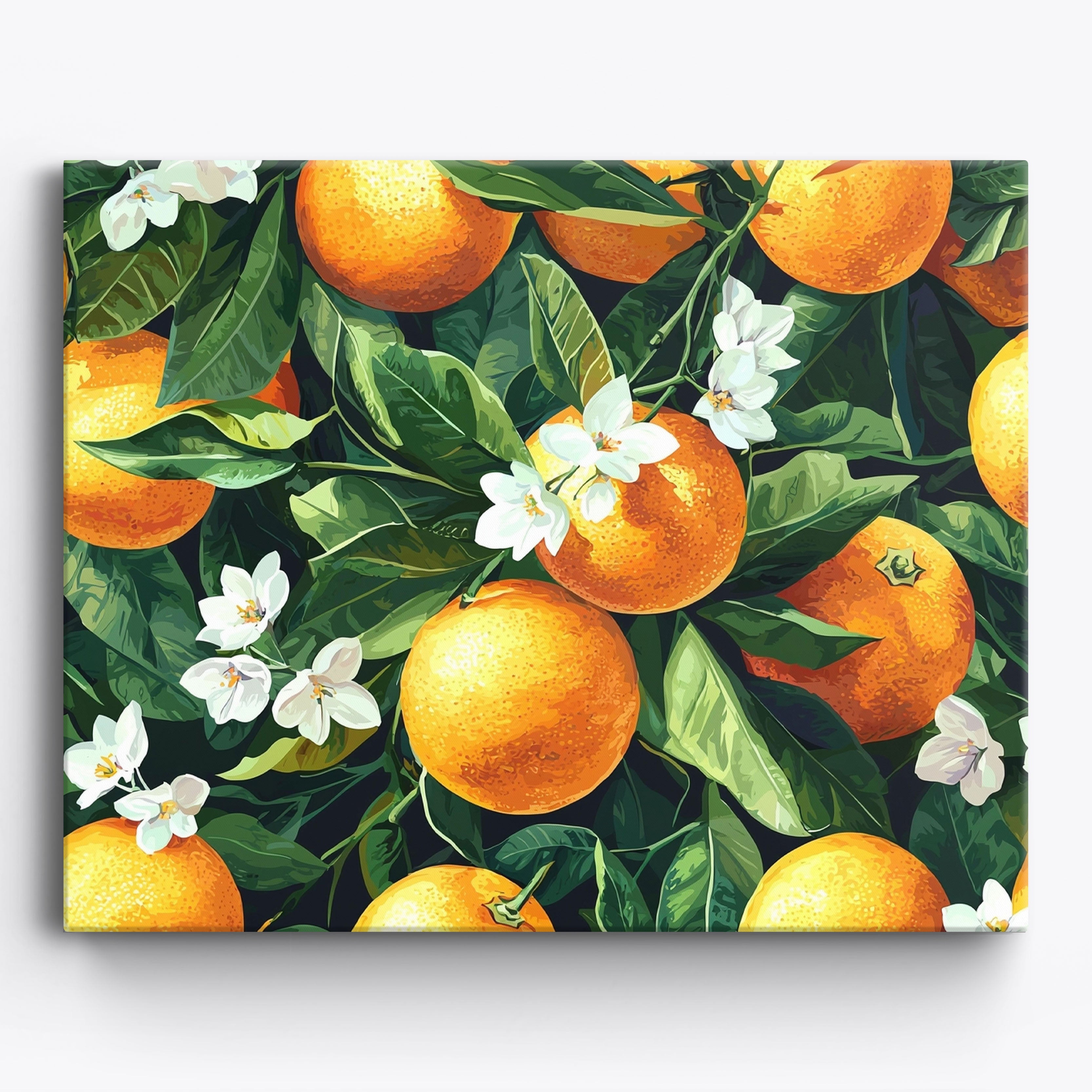 Citrus Grove Harmony No Frame / 50x40cm