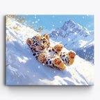 Mountain Slide No Frame / 50x40cm