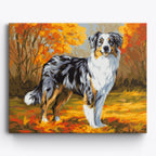 Autumn Australian Shepherd No Frame / 50x40cm