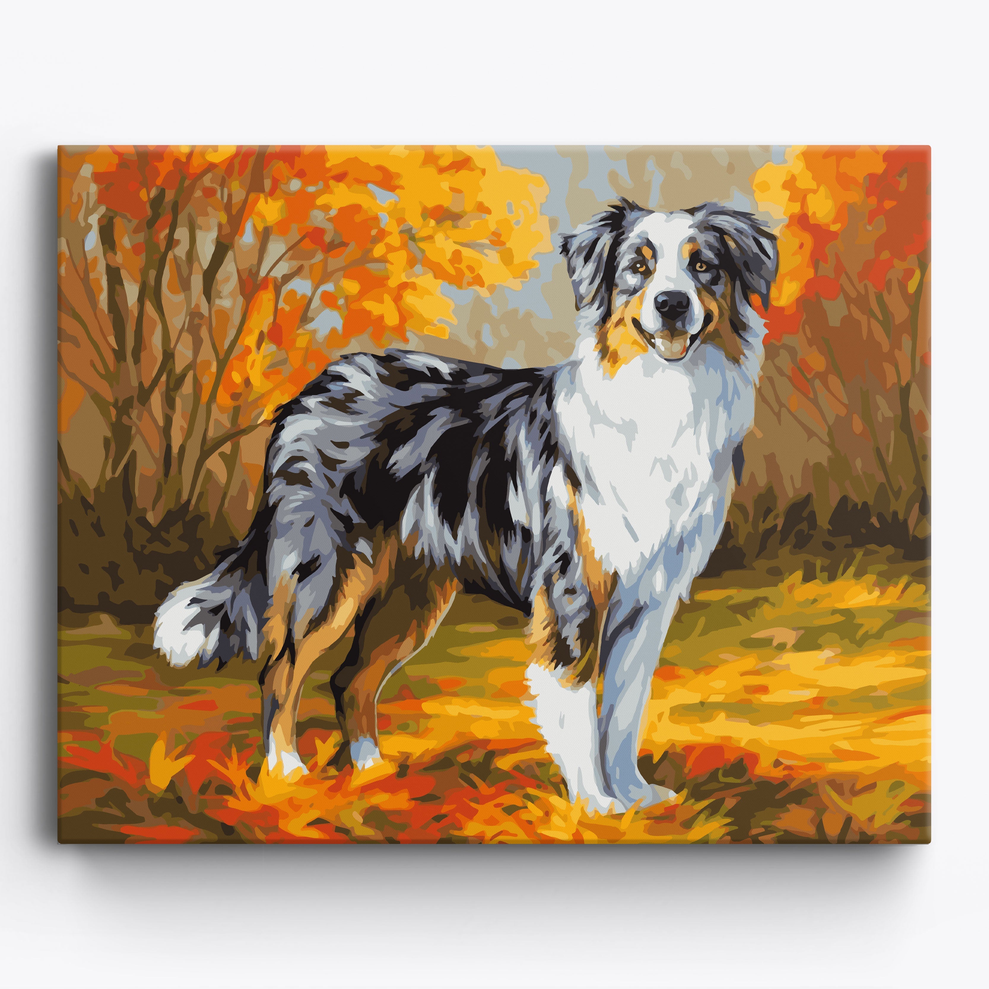 Autumn Australian Shepherd No Frame / 50x40cm