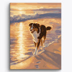 Australian Shepherd Shoreline No Frame / 40x50cm