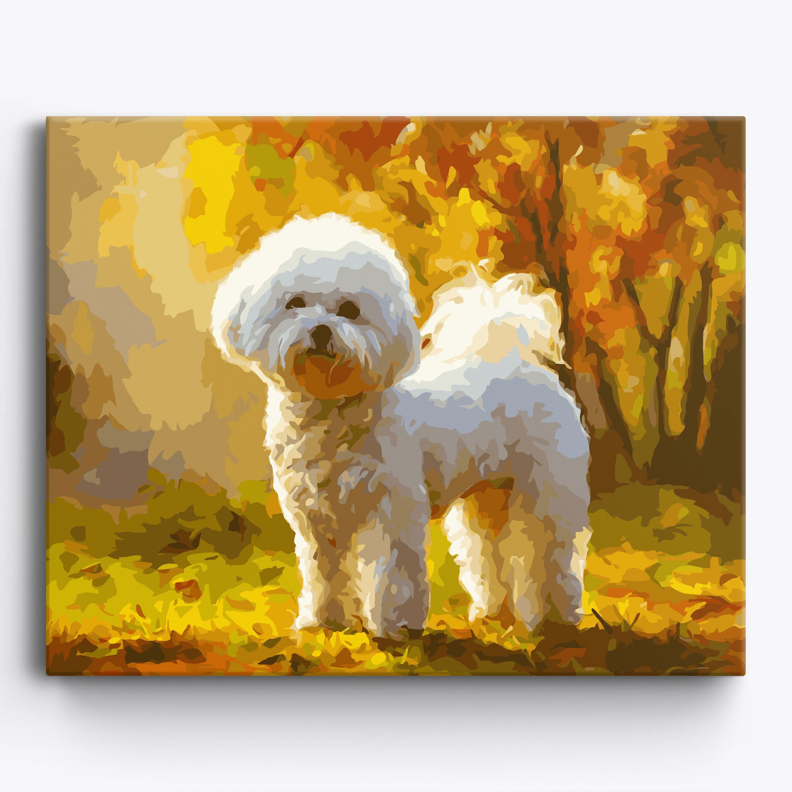Autumn Bichon Frise Framed / 50x40cm