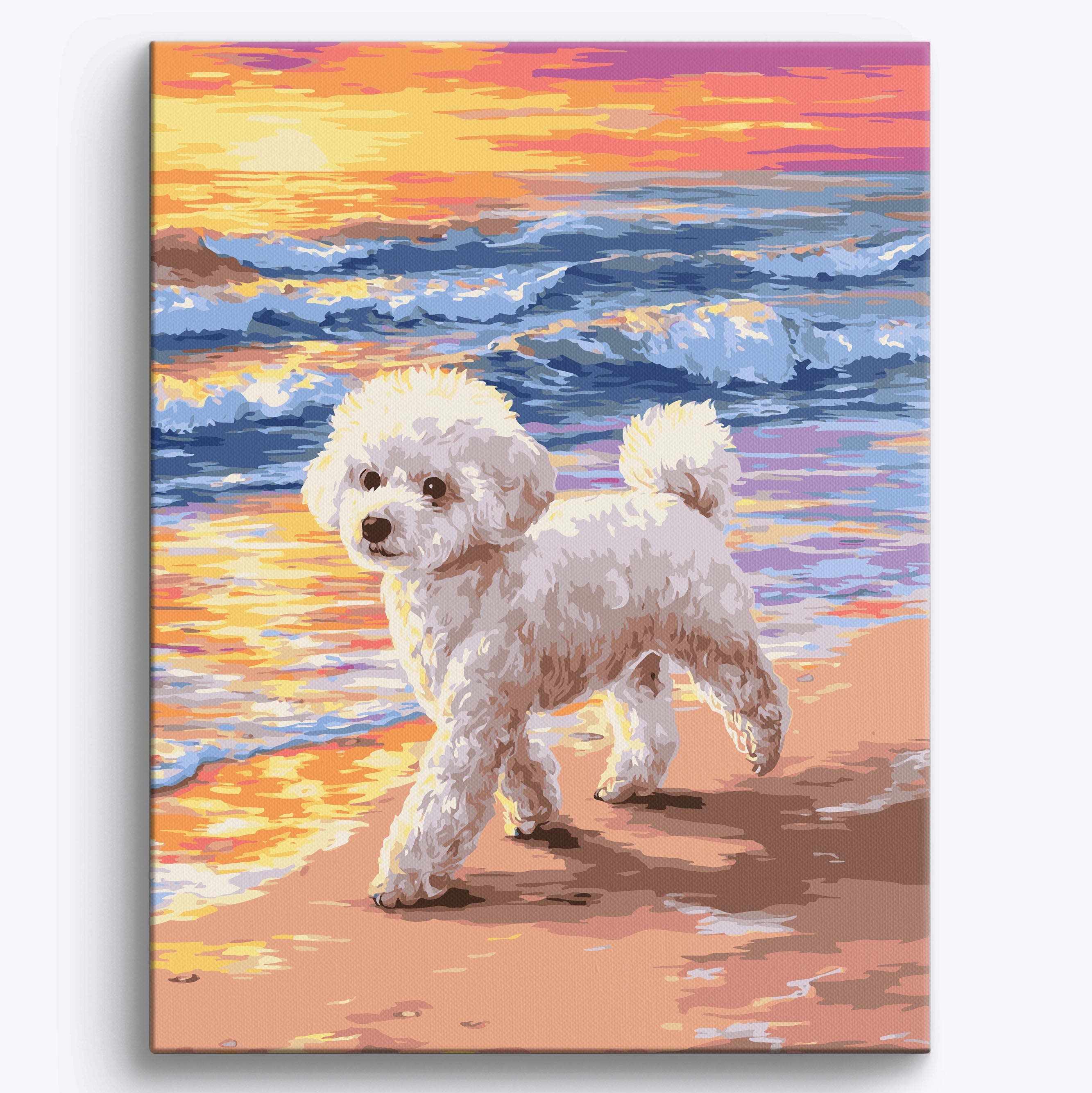 Bichon Frise Beach No Frame / 40x50cm