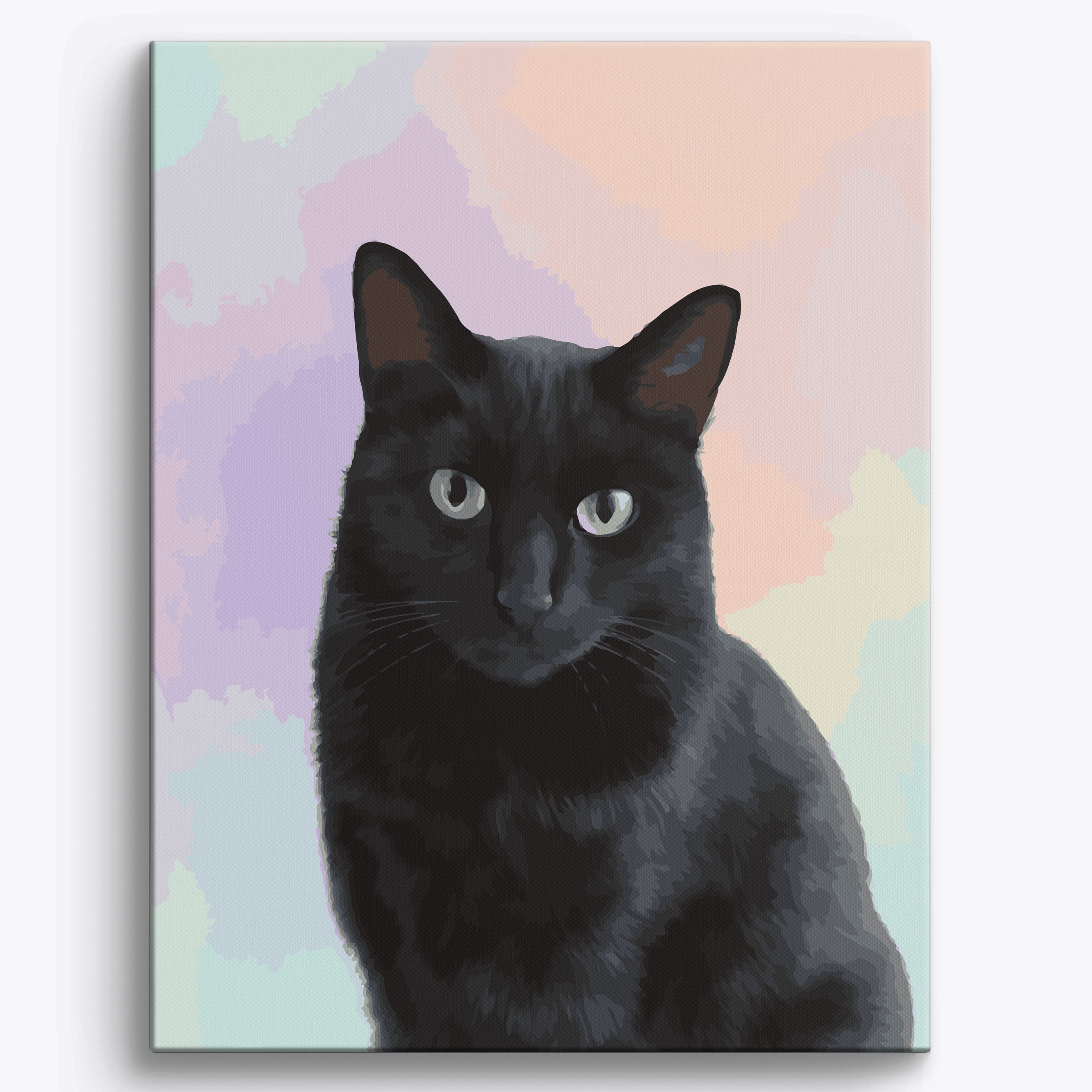 Black Cat Studio Portrait Framed / 40x50cm