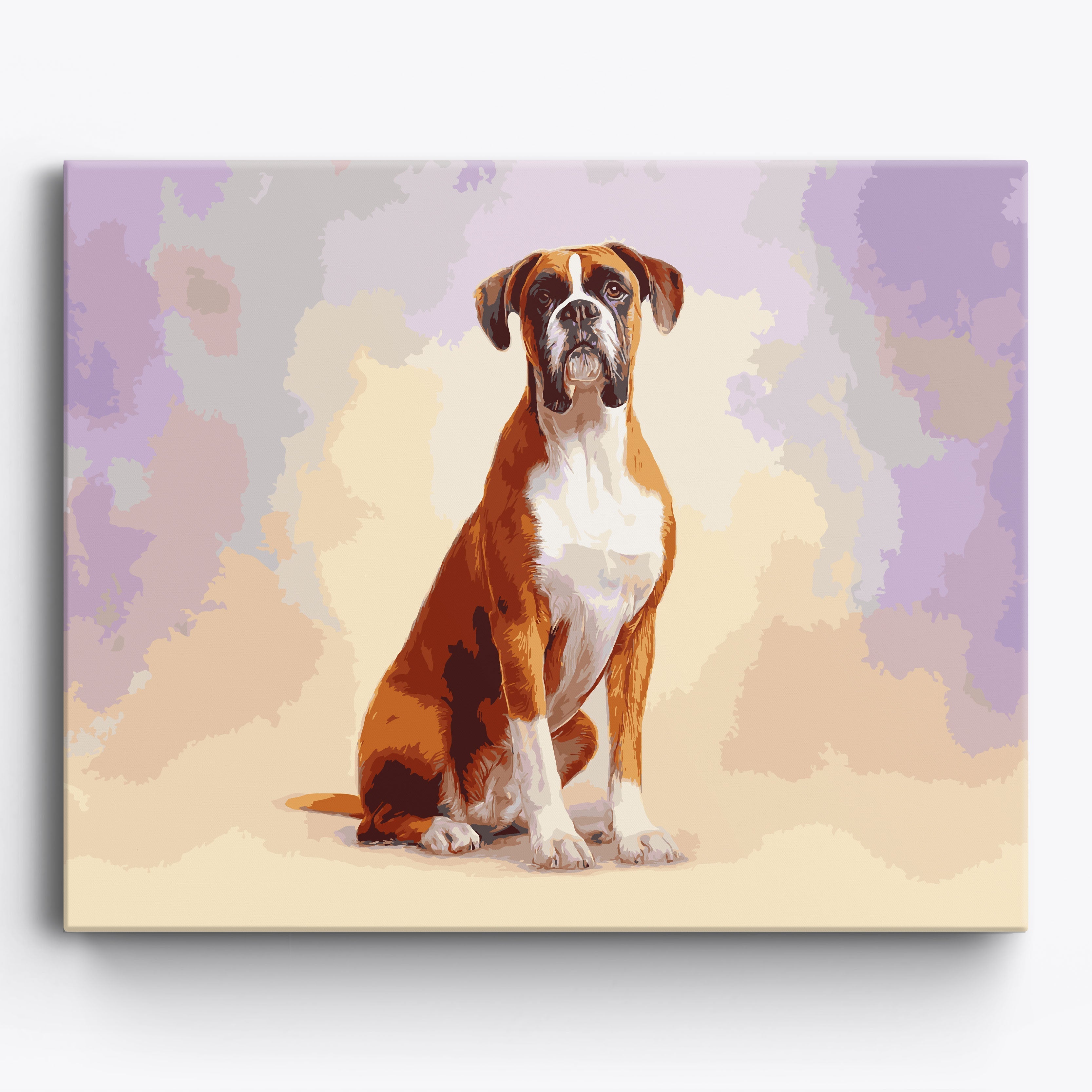 Boxer Studio Portrait No Frame / 50x40cm