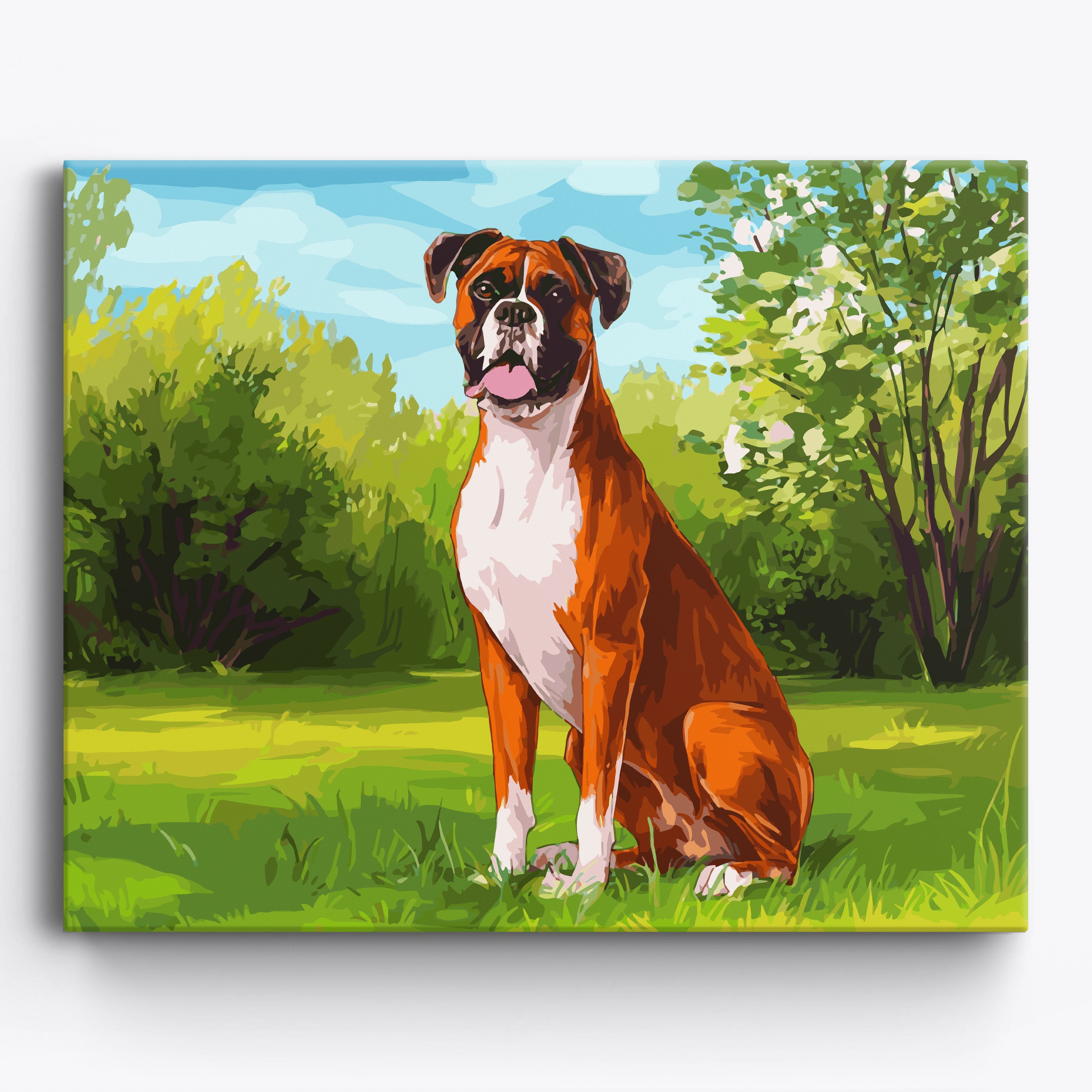 Boxer Bliss No Frame / 50x40cm