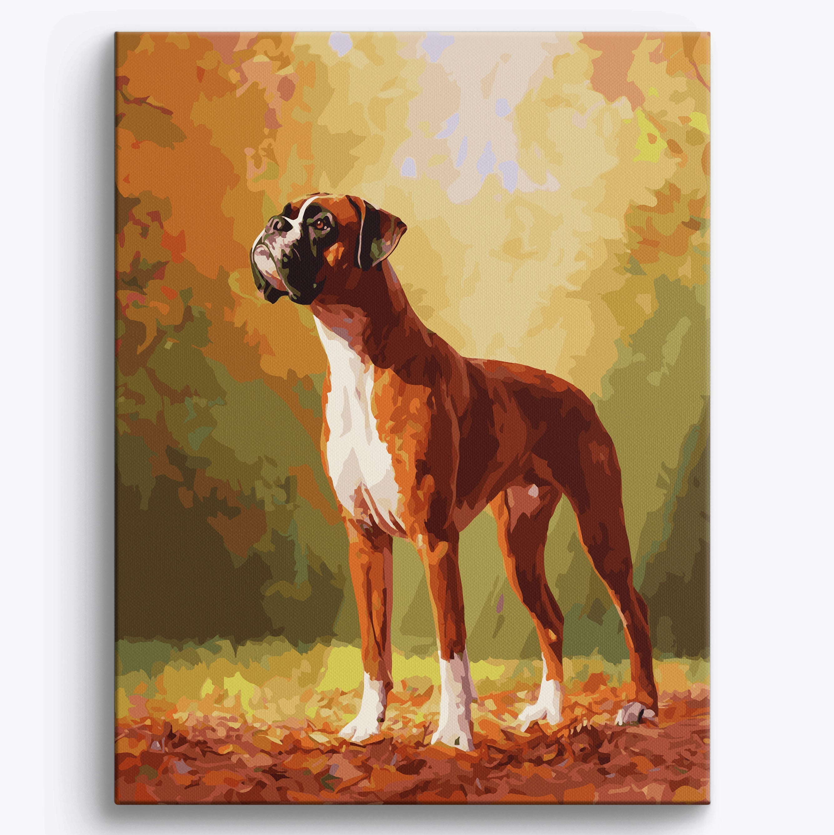 Bold Boxer Framed / 40x50cm