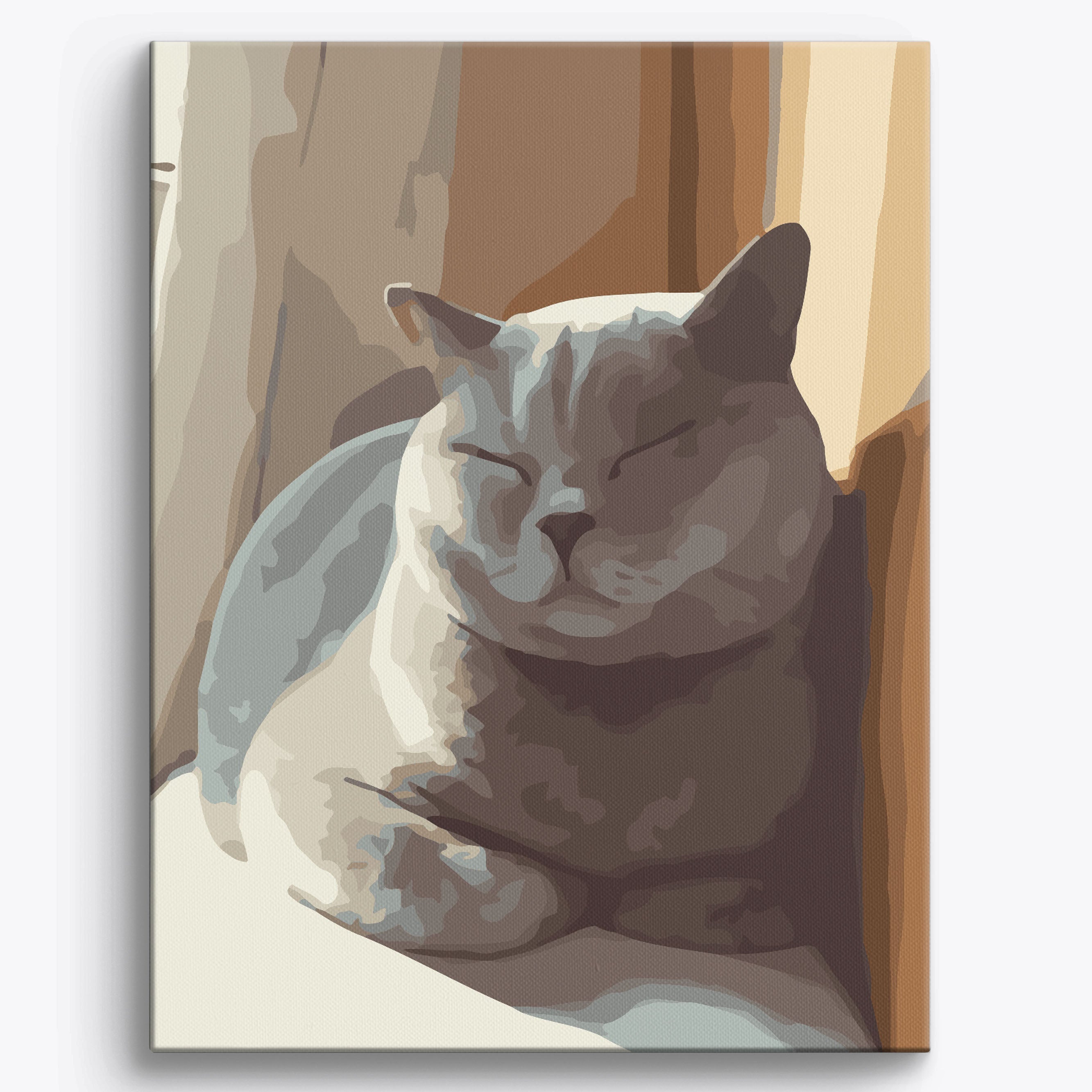 Sleeping British Shorthair Framed / 40x50cm