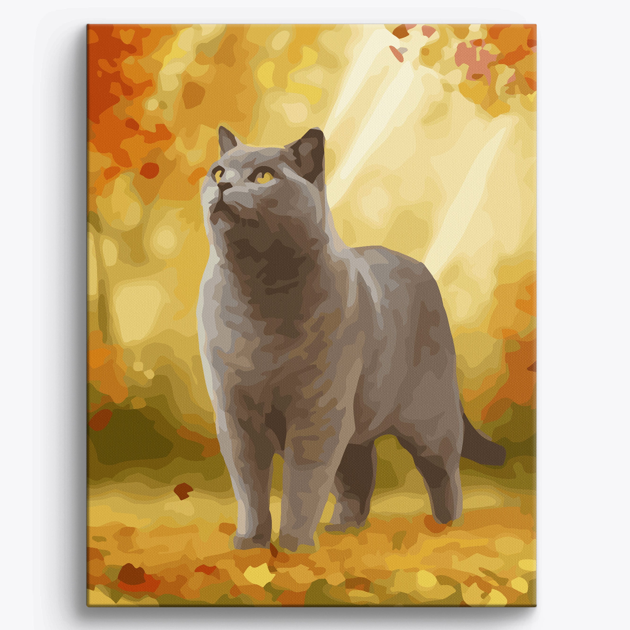 Autumn British Shorthair Framed / 40x50cm