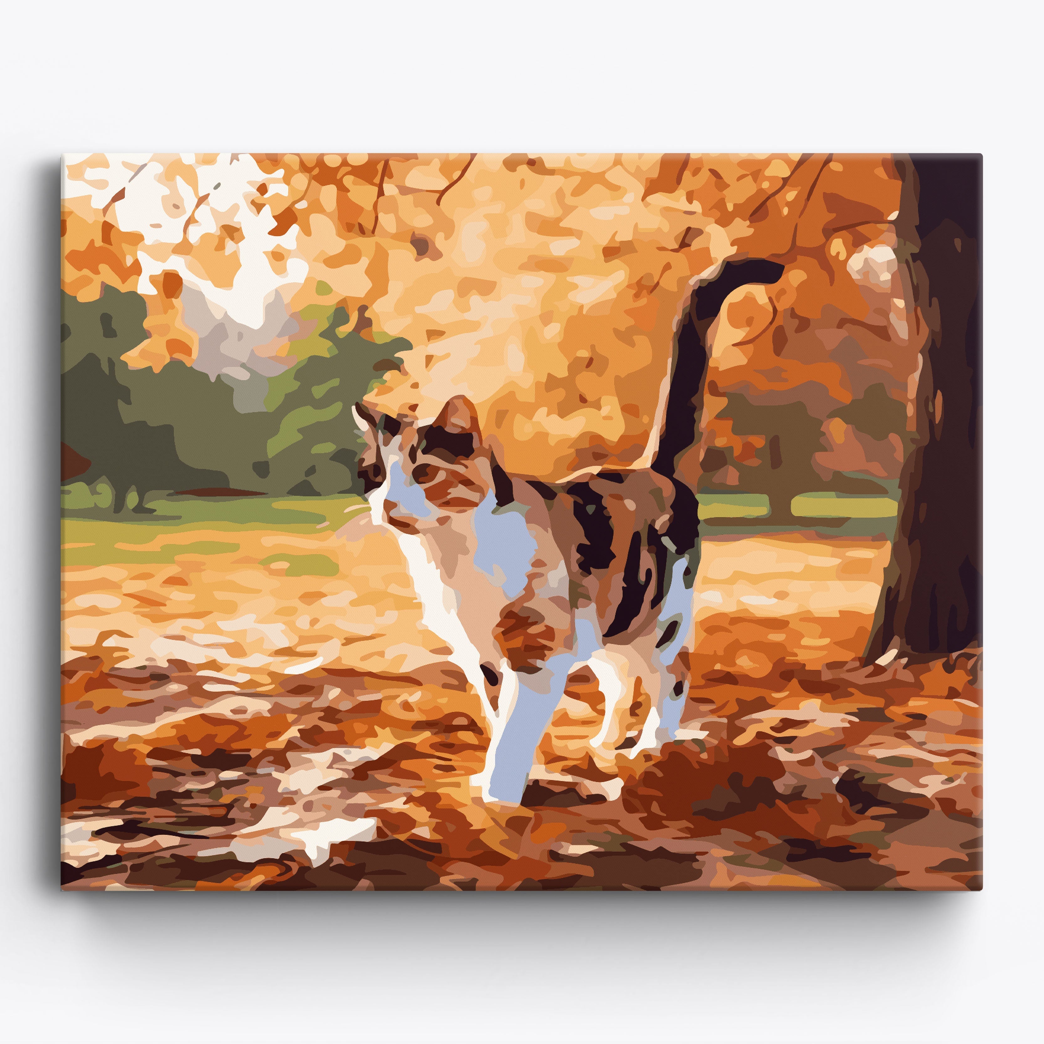 Camouflage Kitten Framed / 50x40cm