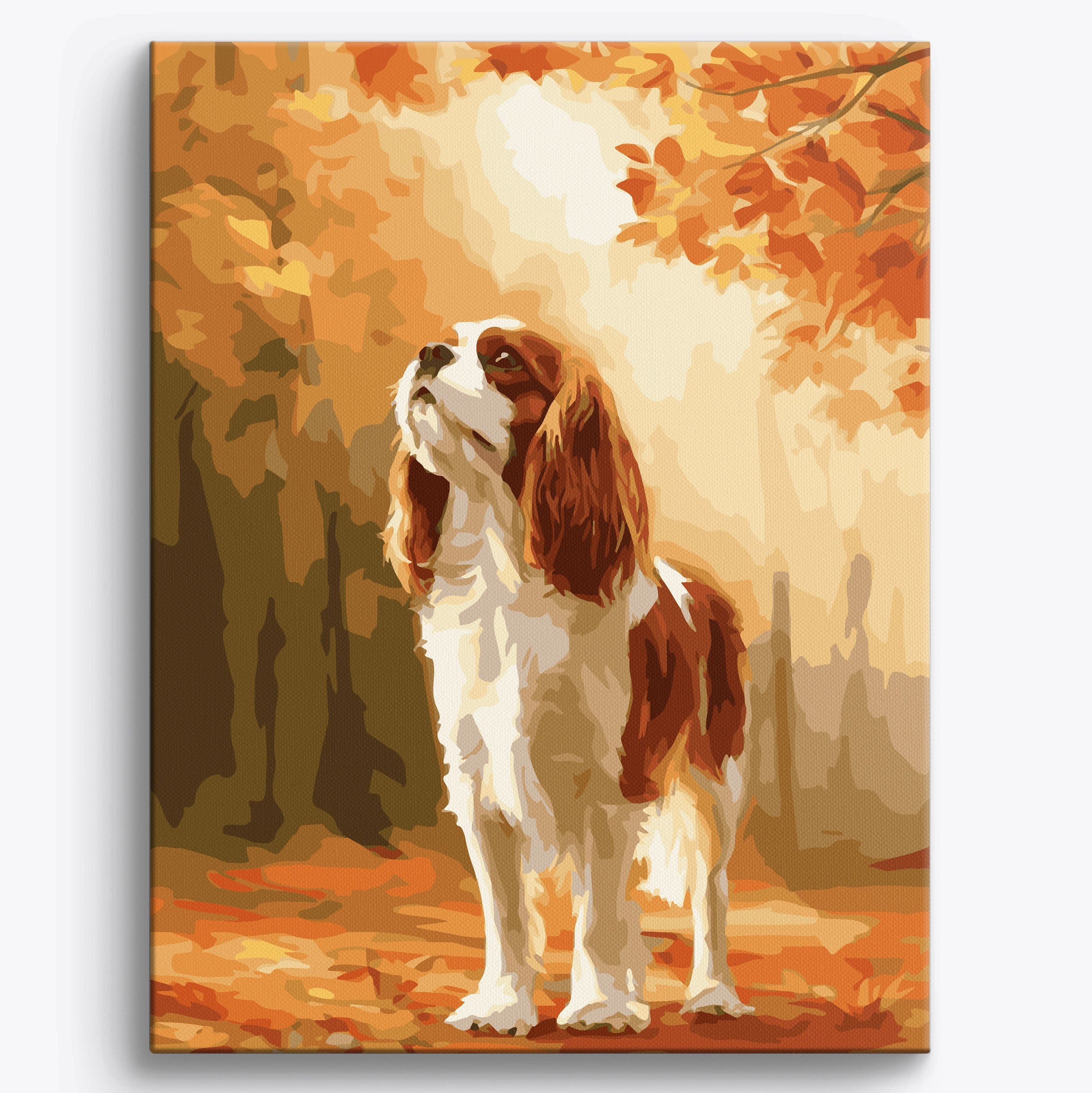 Cavalier King Autumn Framed / 40x50cm