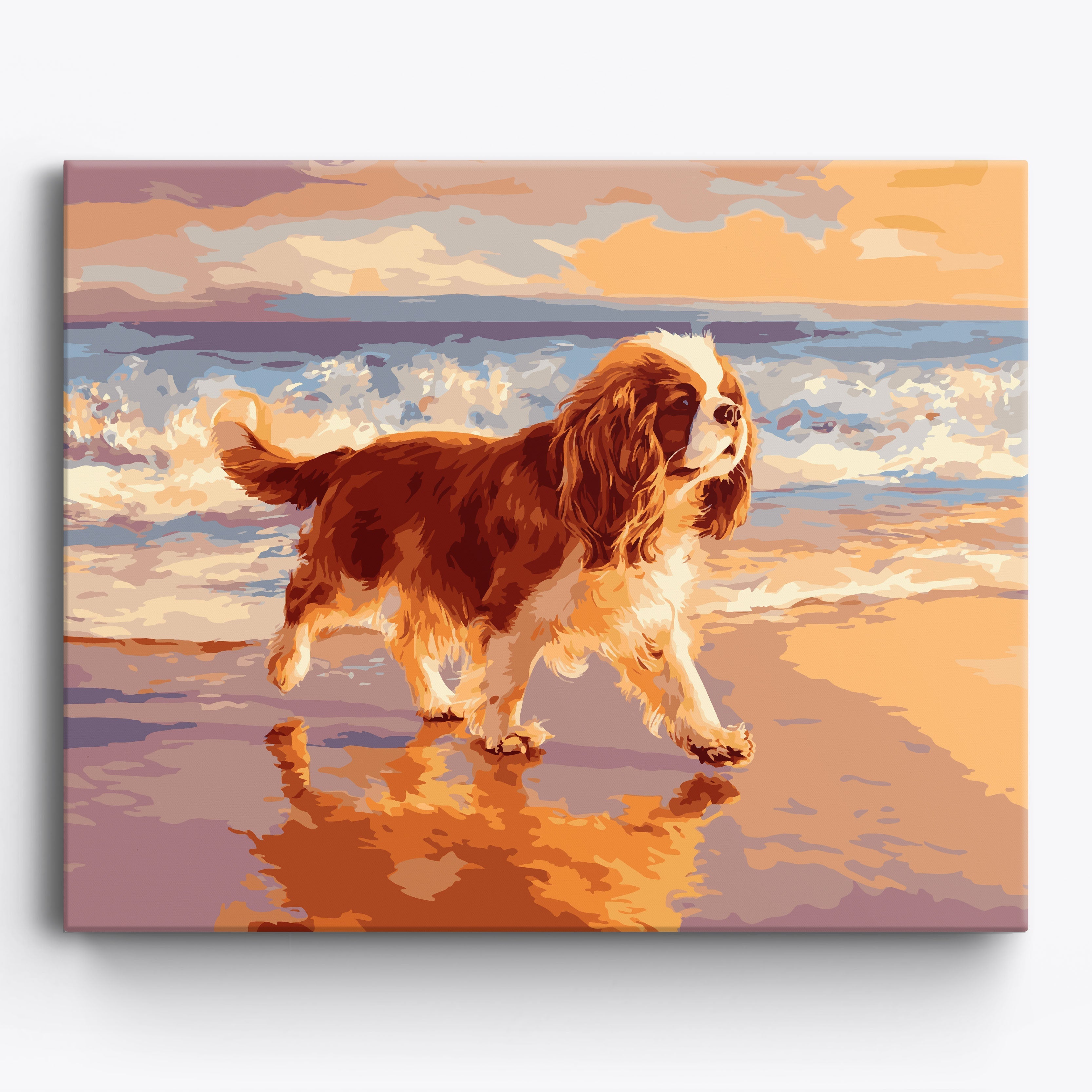 Cavalier King Coastline No Frame / 50x40cm