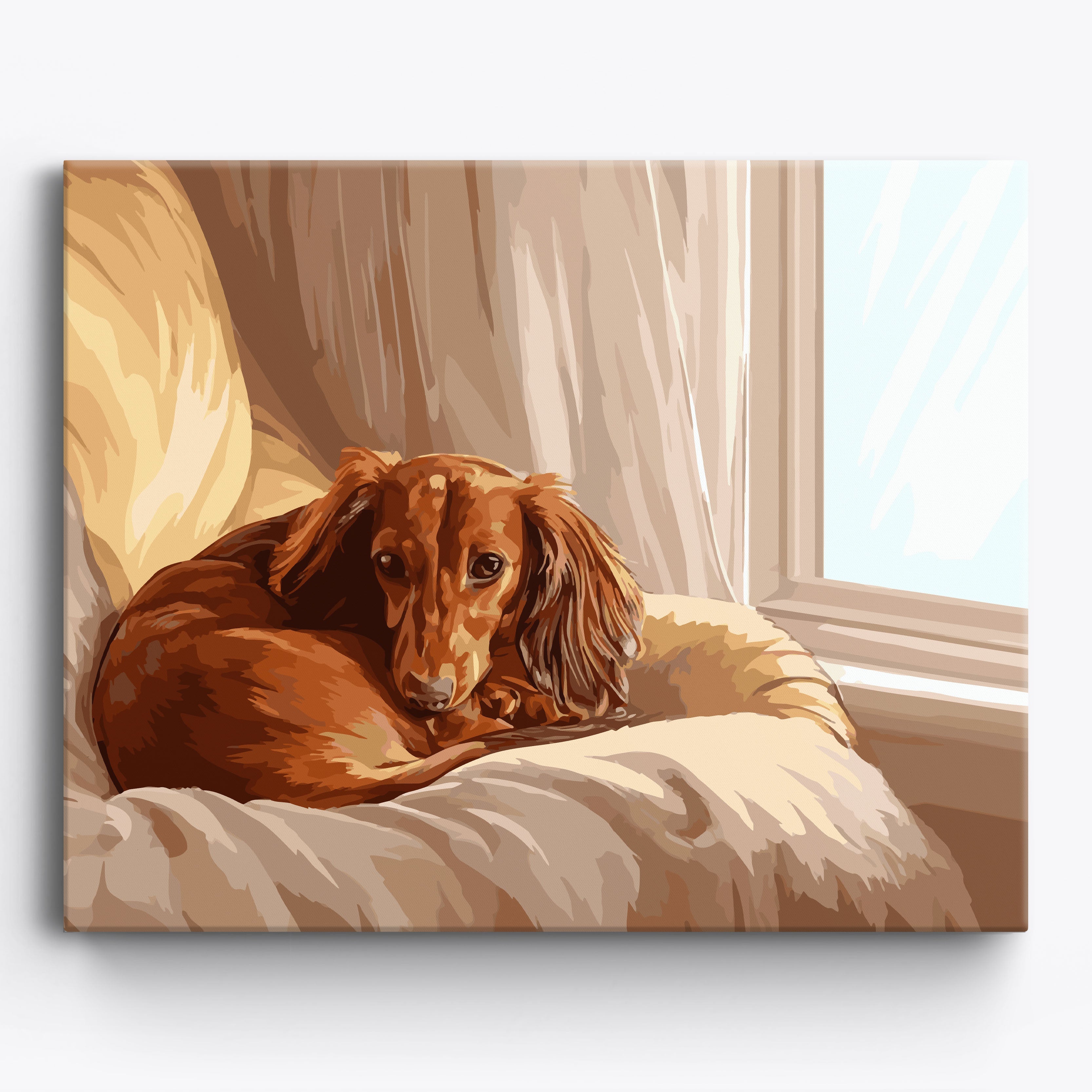 Dachshund Delight Framed / 50x40cm
