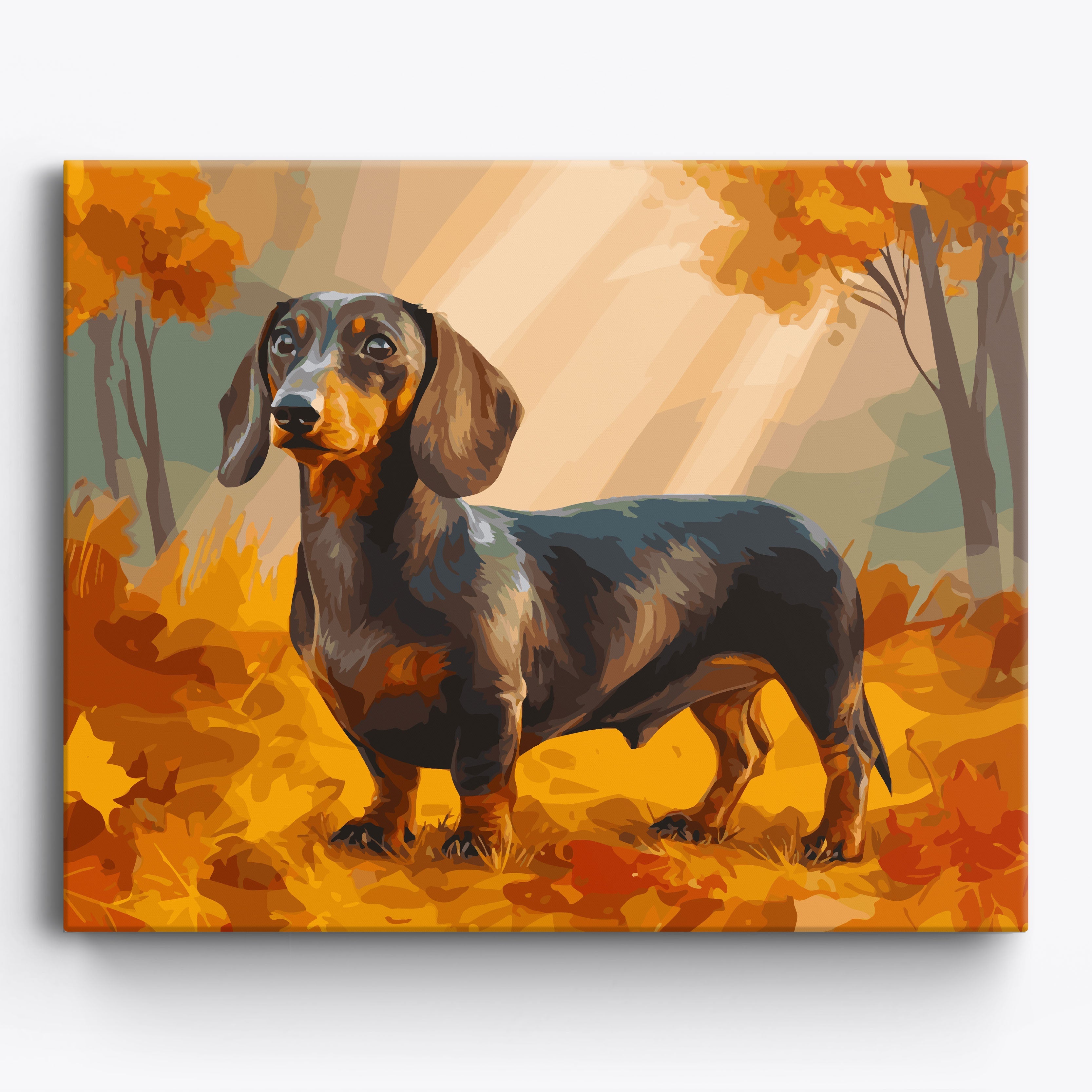 Dachshund Fall Portrait No Frame / 50x40cm