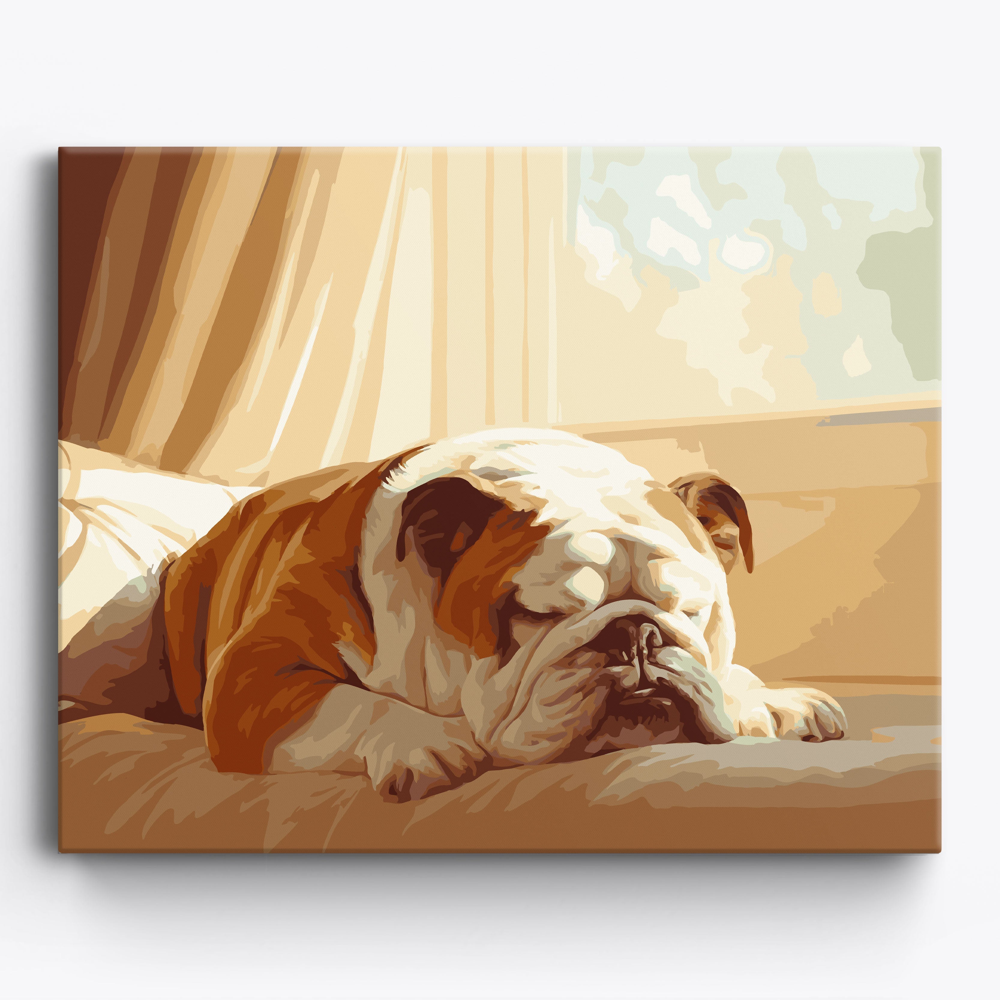 Sleeping Bulldog Framed / 50x40cm