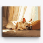 French Bulldog Nap No Frame / 50x40cm