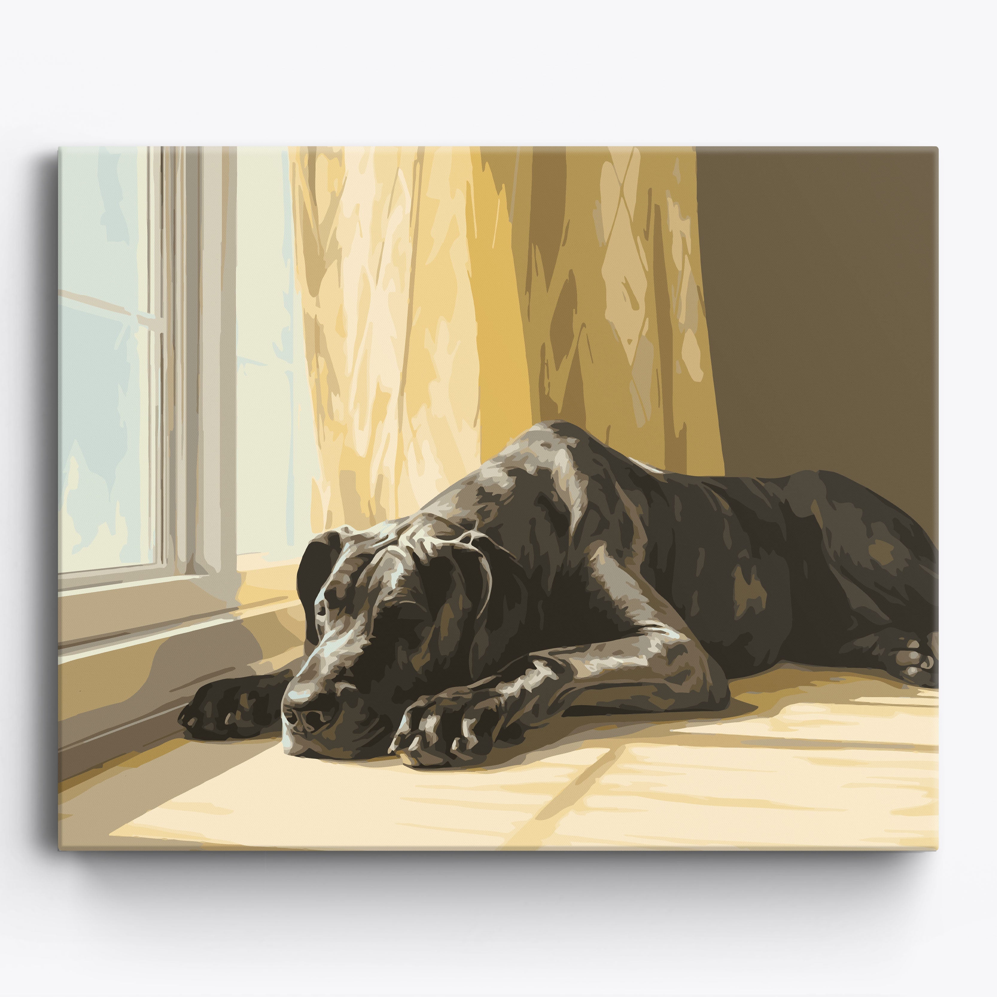 Great Dane Nap Framed / 50x40cm