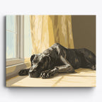 Great Dane Nap No Frame / 50x40cm