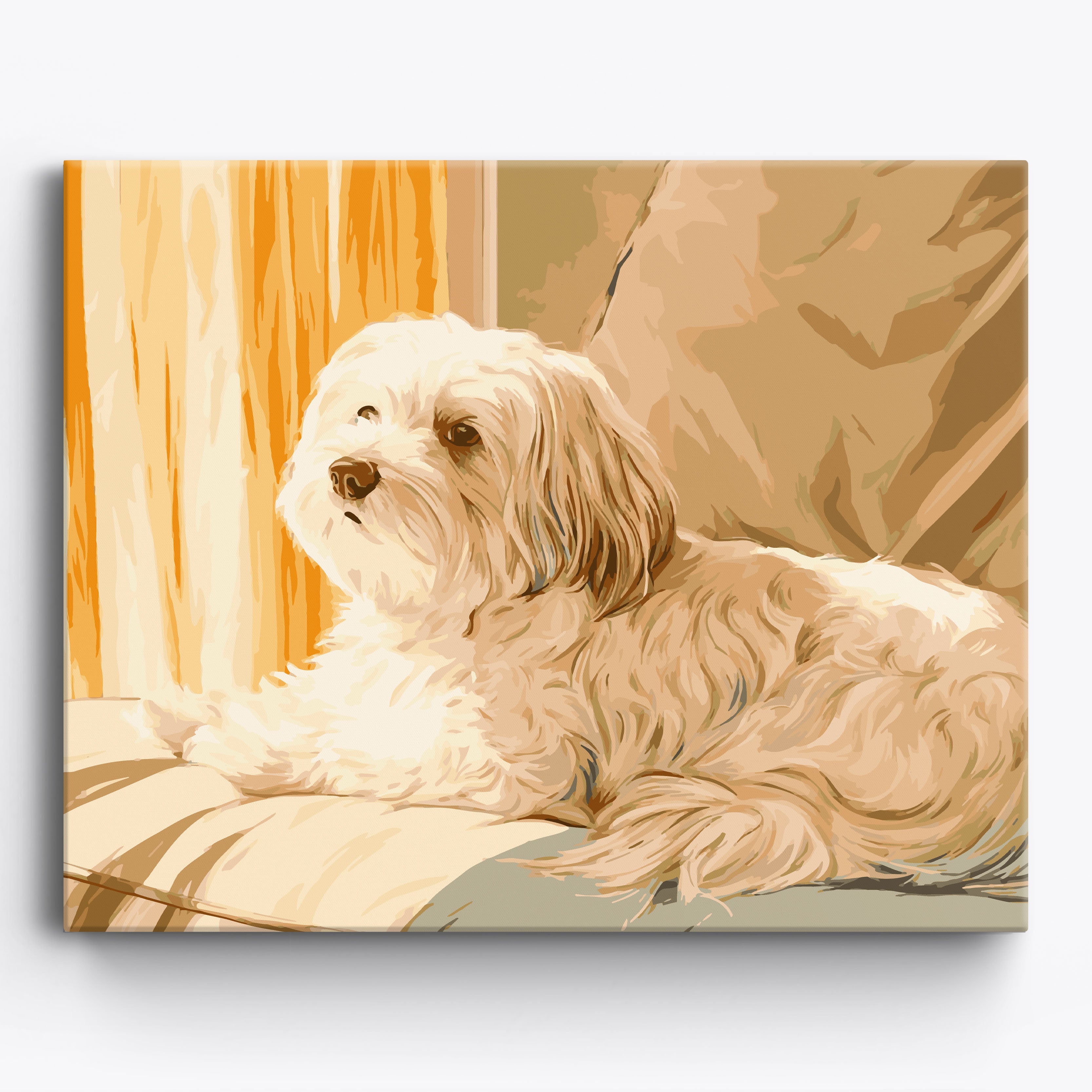 Happy Havanese No Frame / 50x40cm