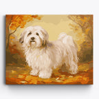 Havanese Portrait No Frame / 50x40cm