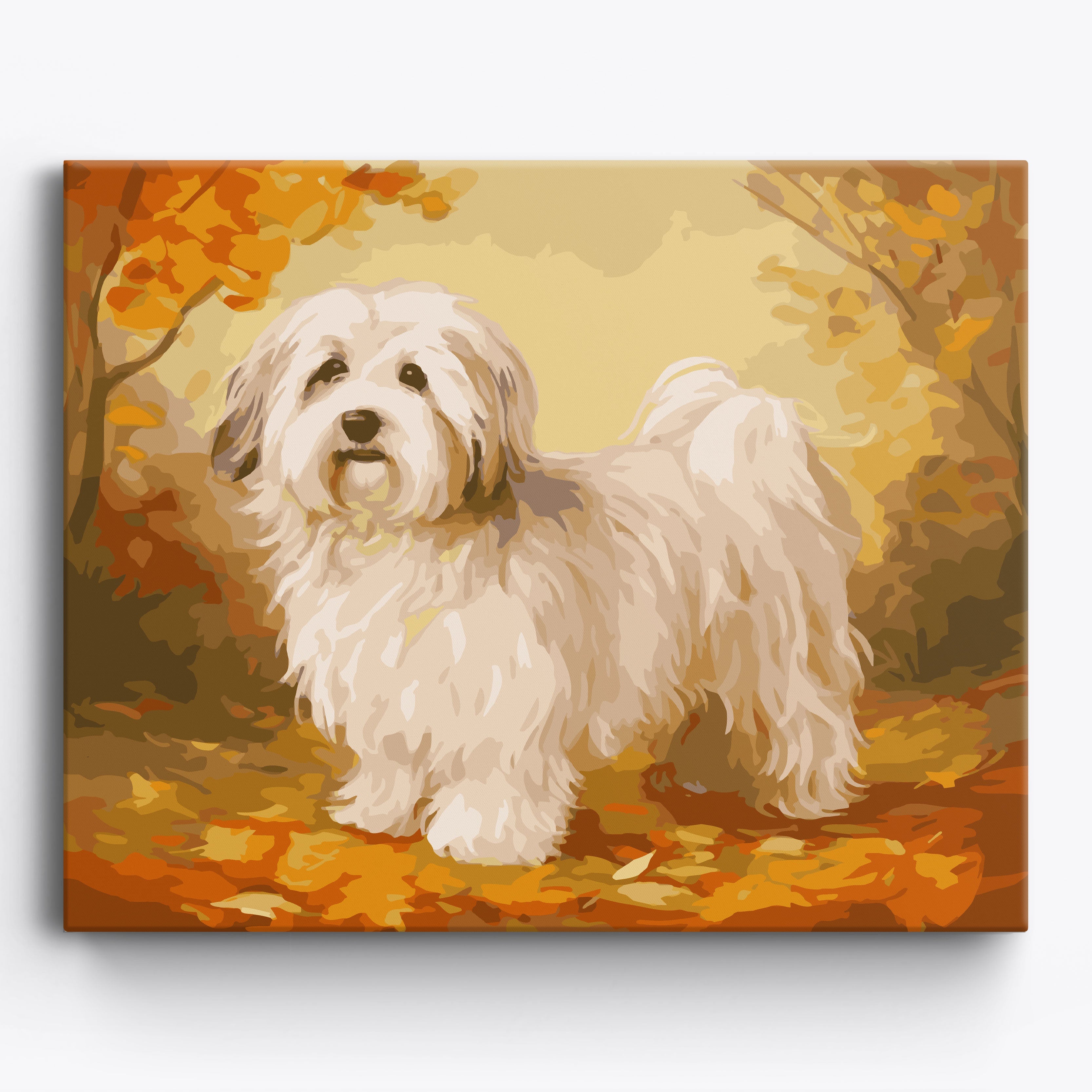 Havanese Portrait No Frame / 50x40cm