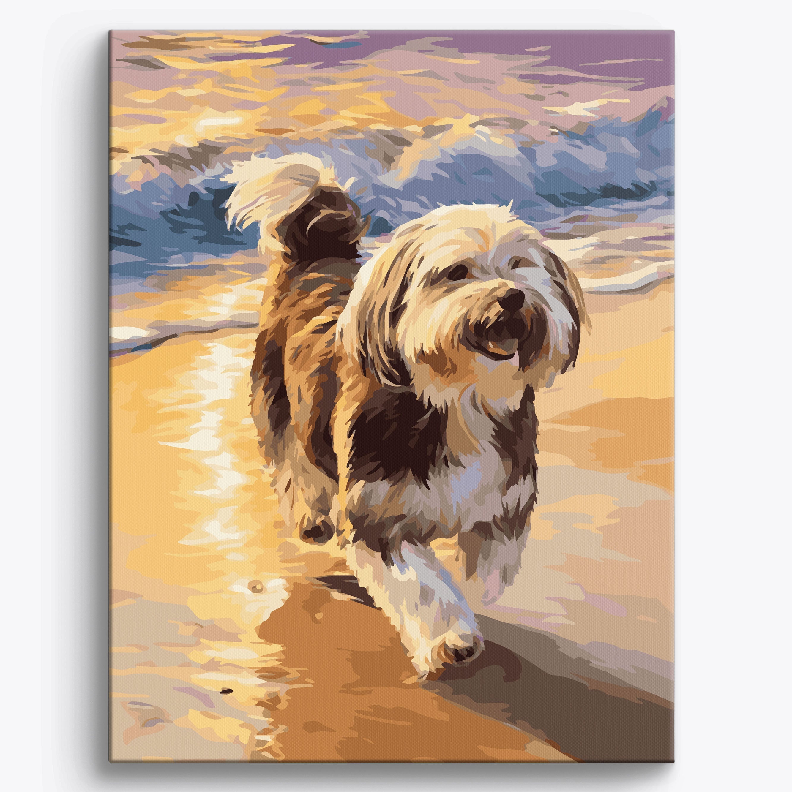 Havanese Beach Framed / 40x50cm