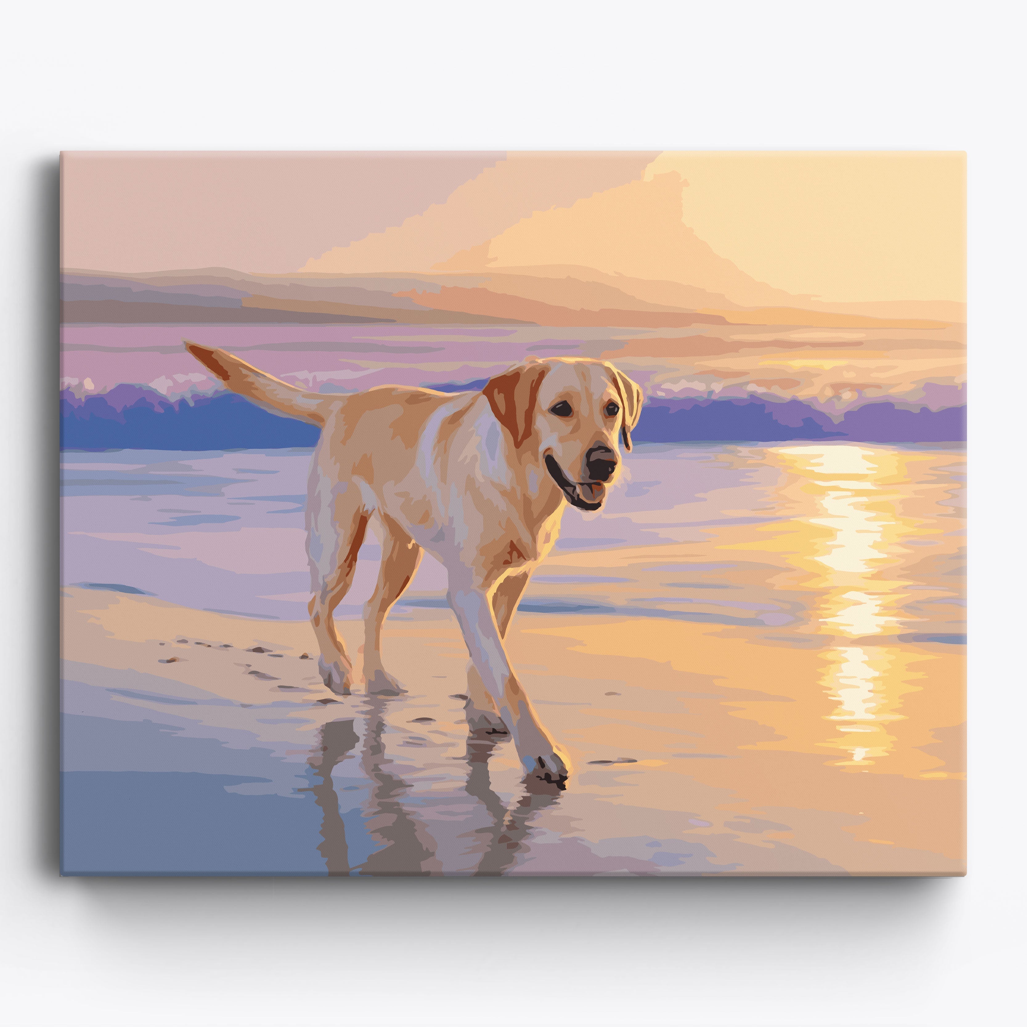 Labrador Beach Stroll Framed / 50x40cm