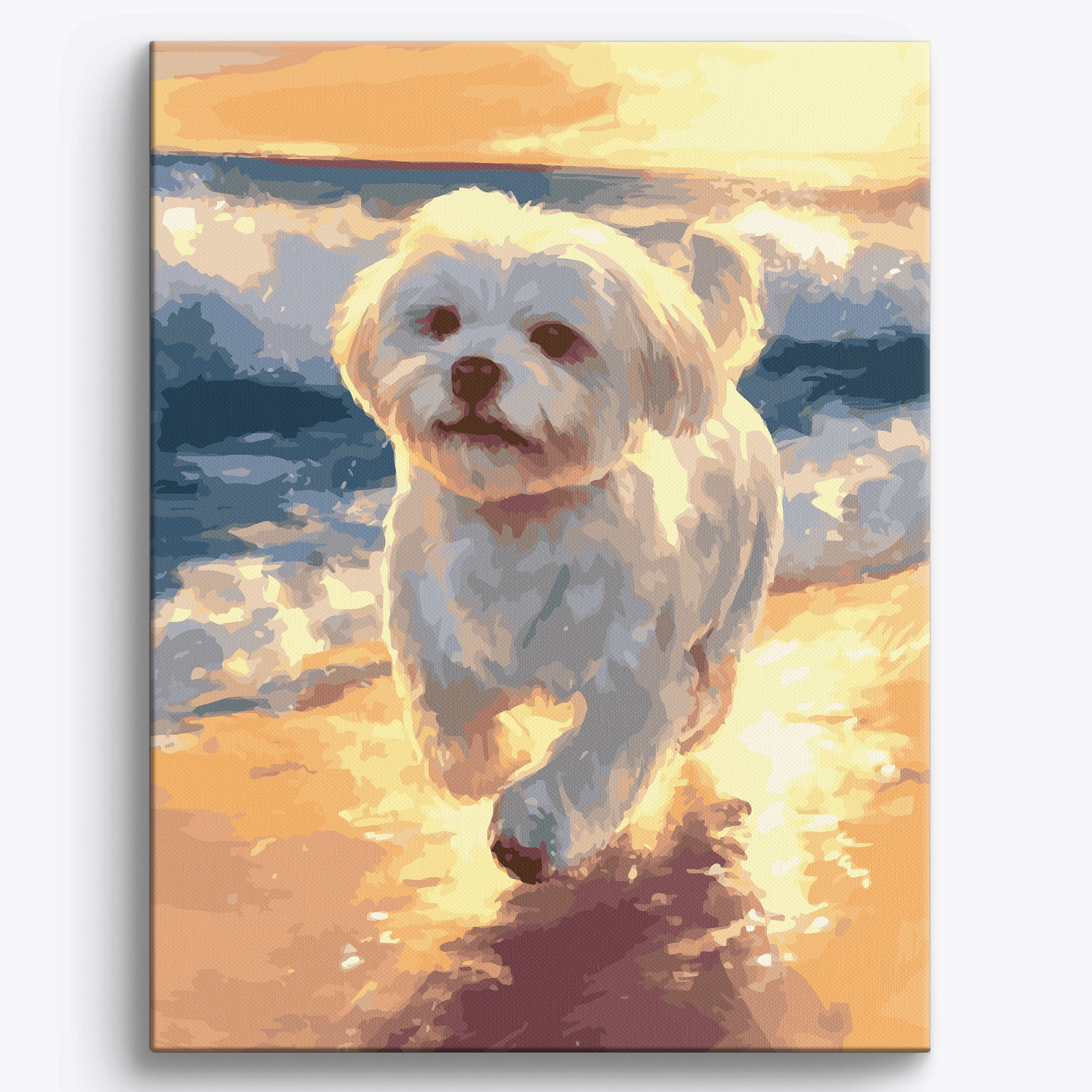 Skipping Maltese No Frame / 40x50cm