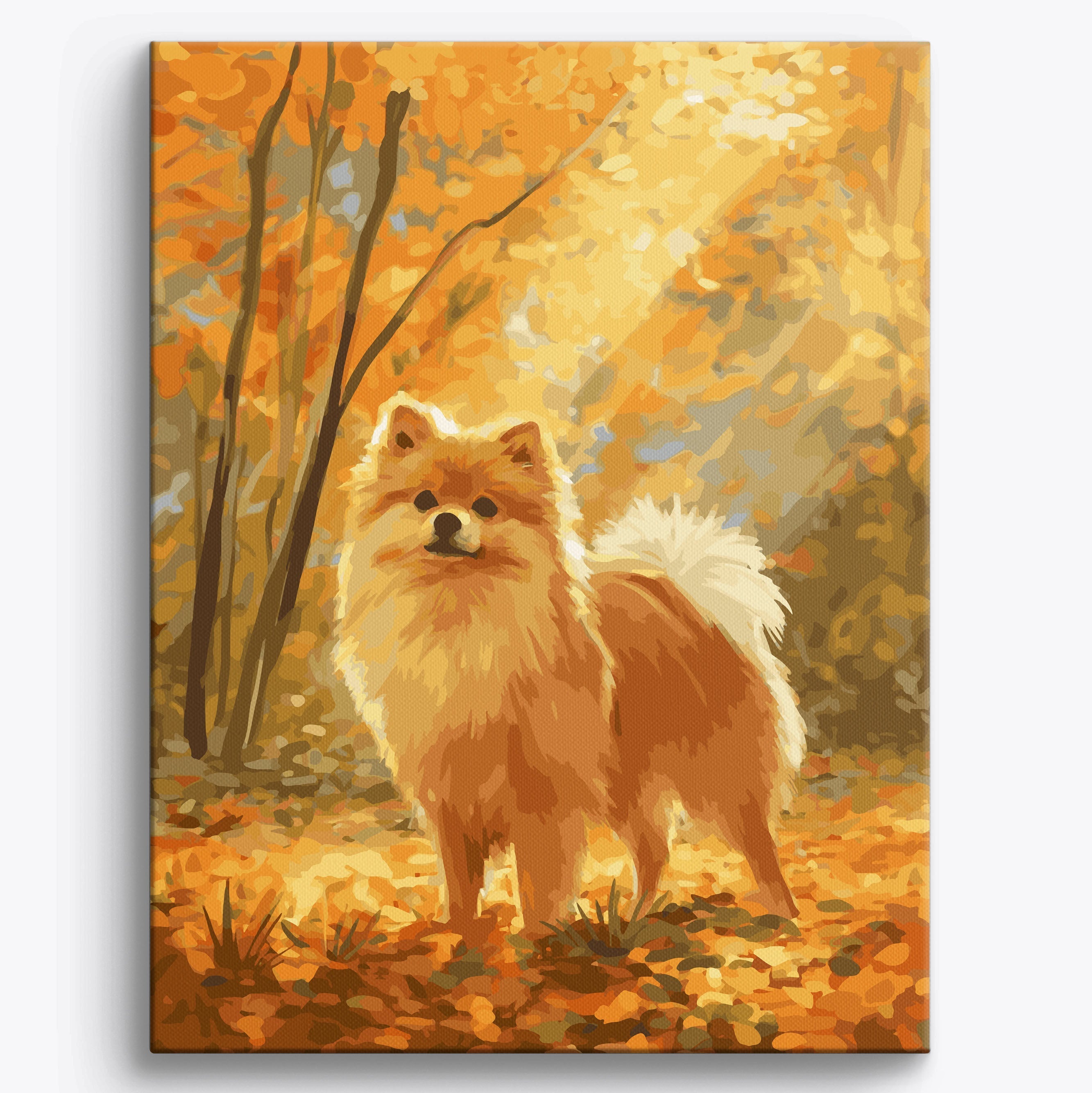 Pomeranian Fall Framed / 40x50cm