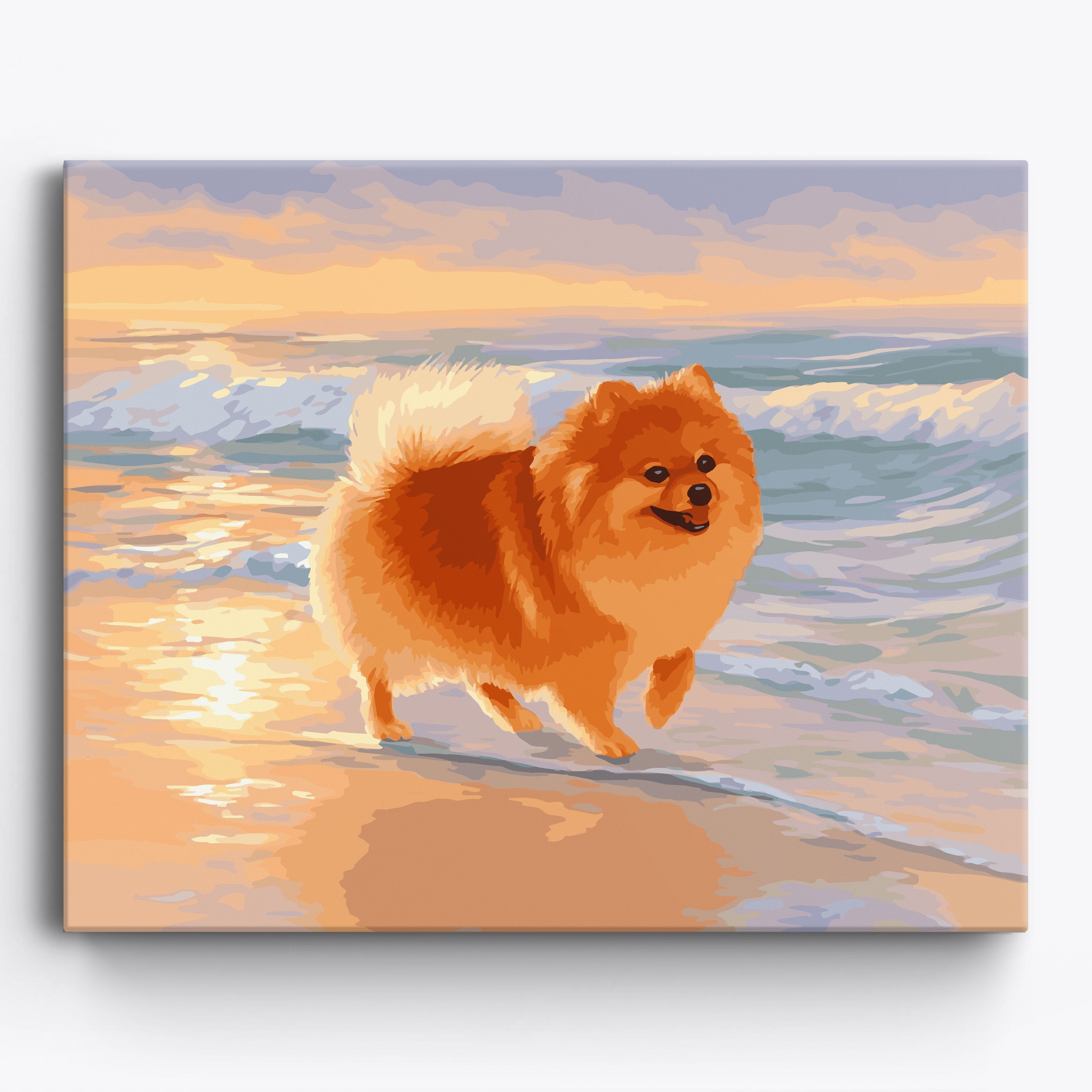 Pomeranian Beach Framed / 50x40cm