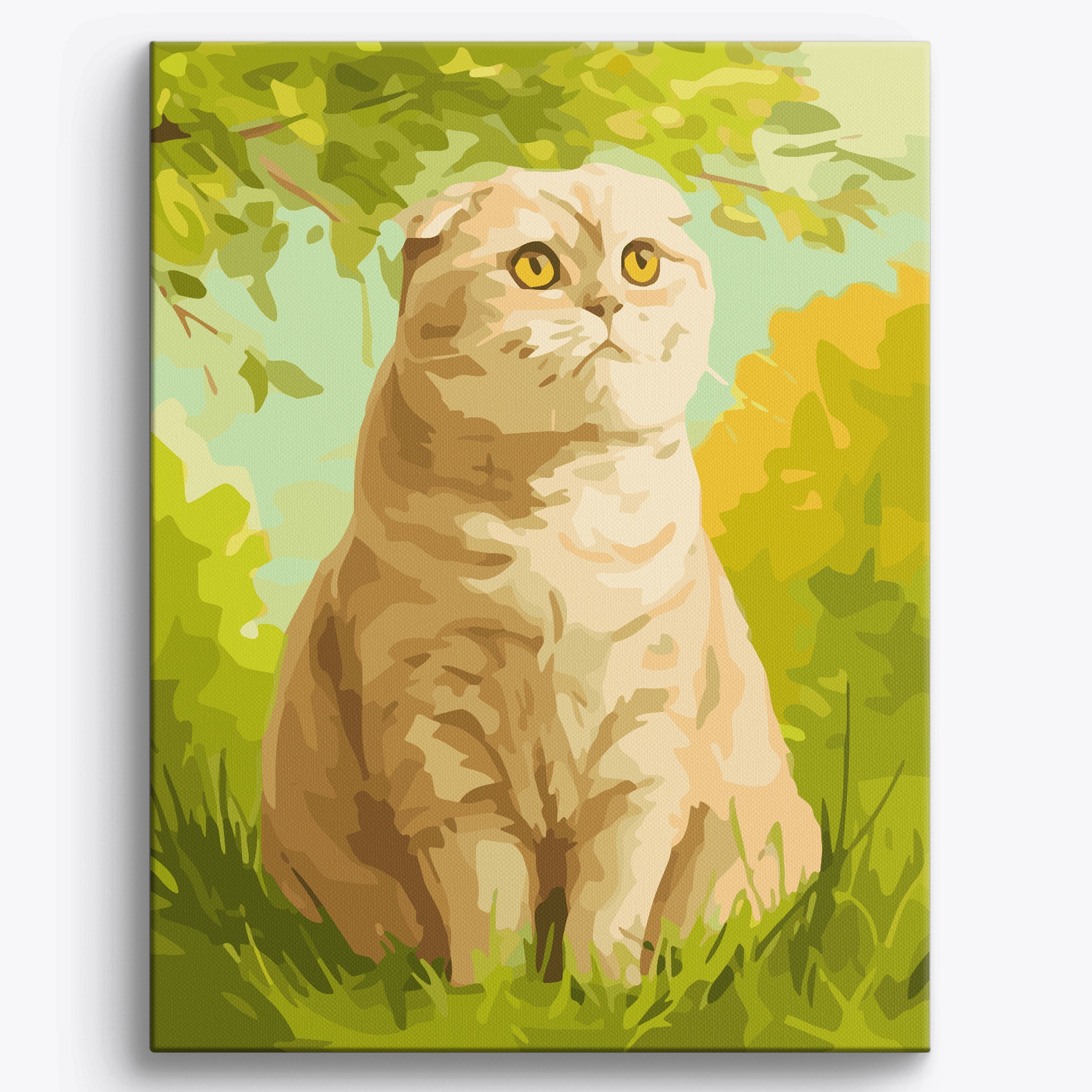 Scottish Fold Garden No Frame / 40x50cm
