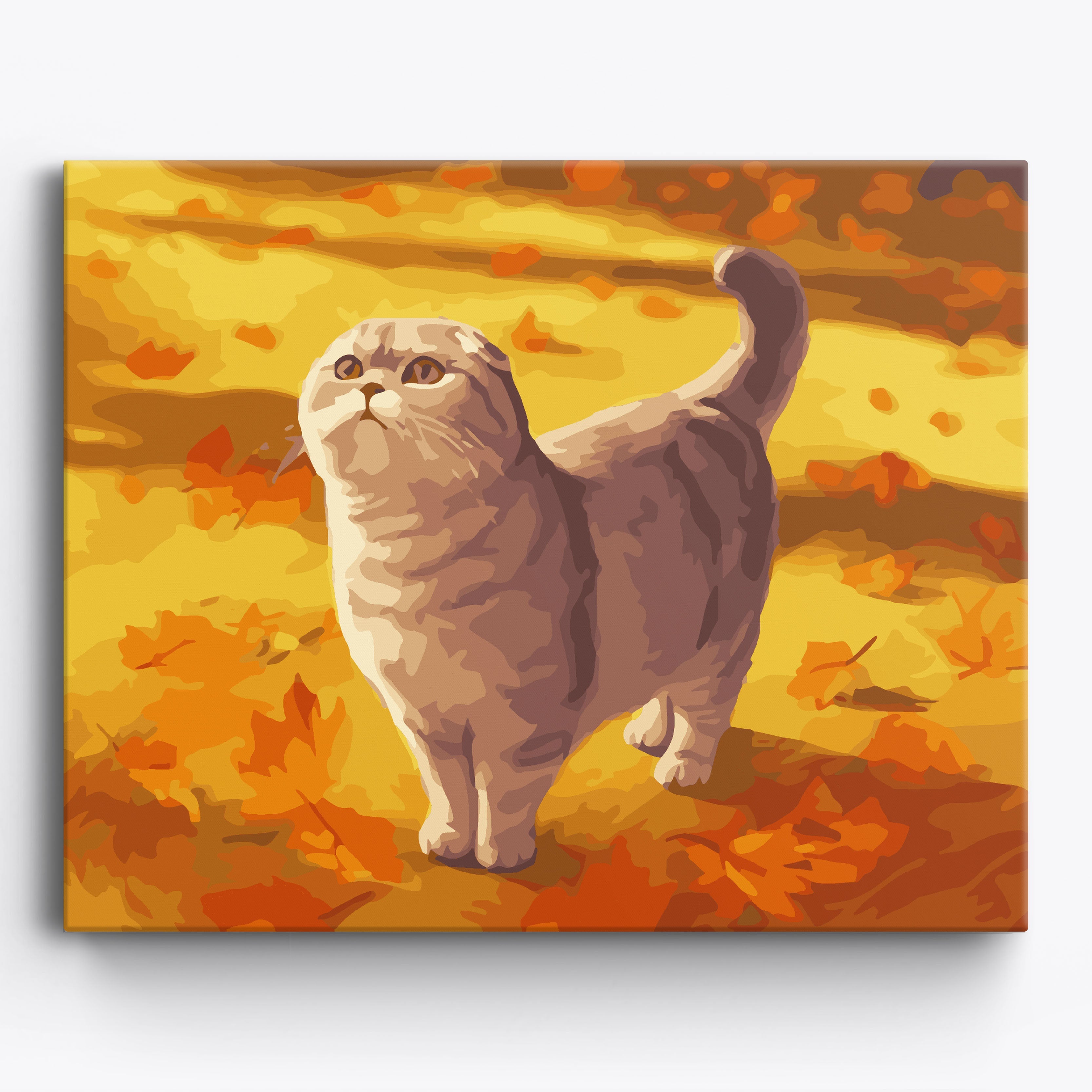 Autumn Scottish Fold Framed / 50x40cm