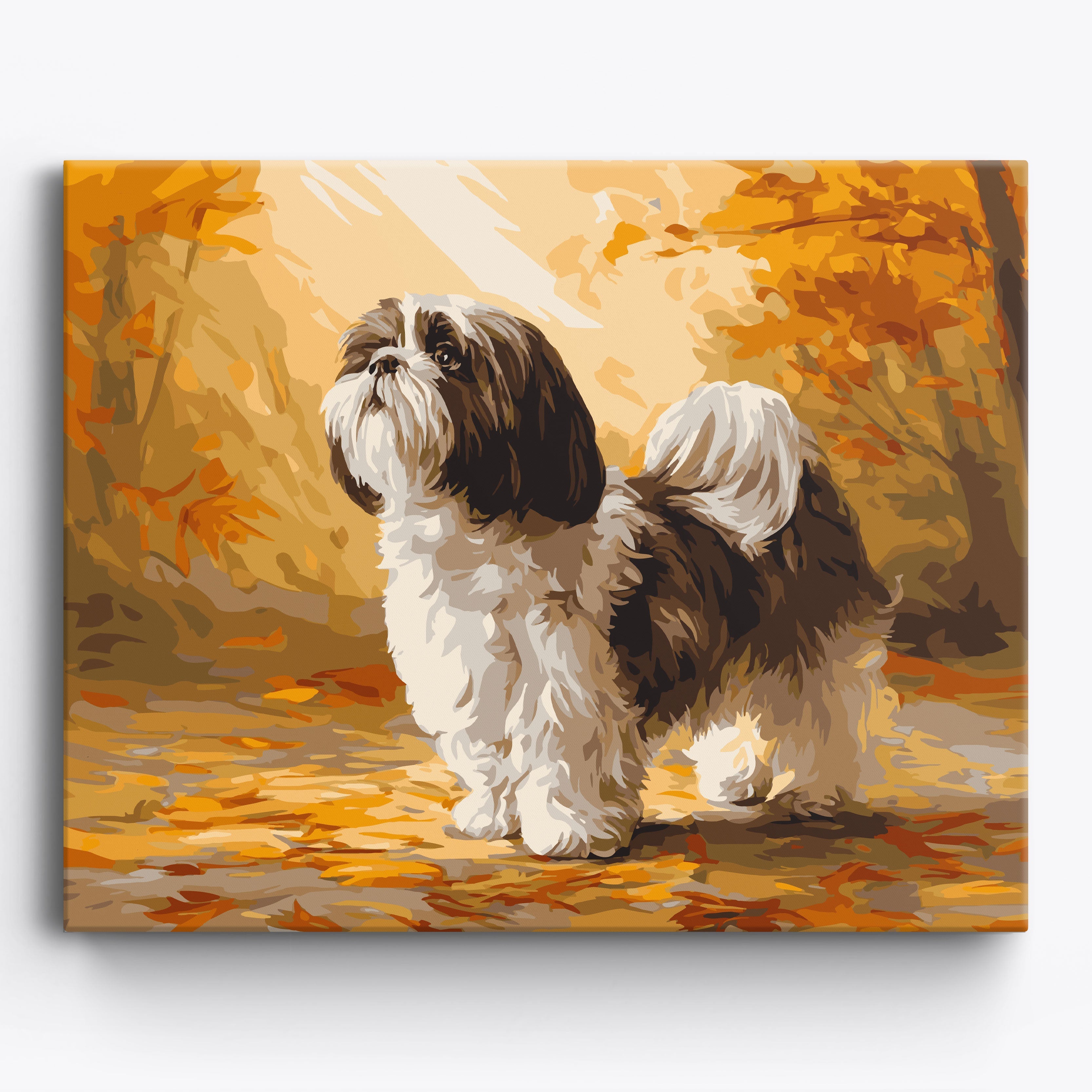 Autumn Shih Tzu Framed / 50x40cm