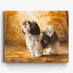Autumn Shih Tzu No Frame / 50x40cm