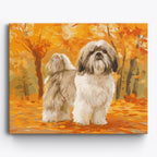Shih Tzu Stroll No Frame / 50x40cm