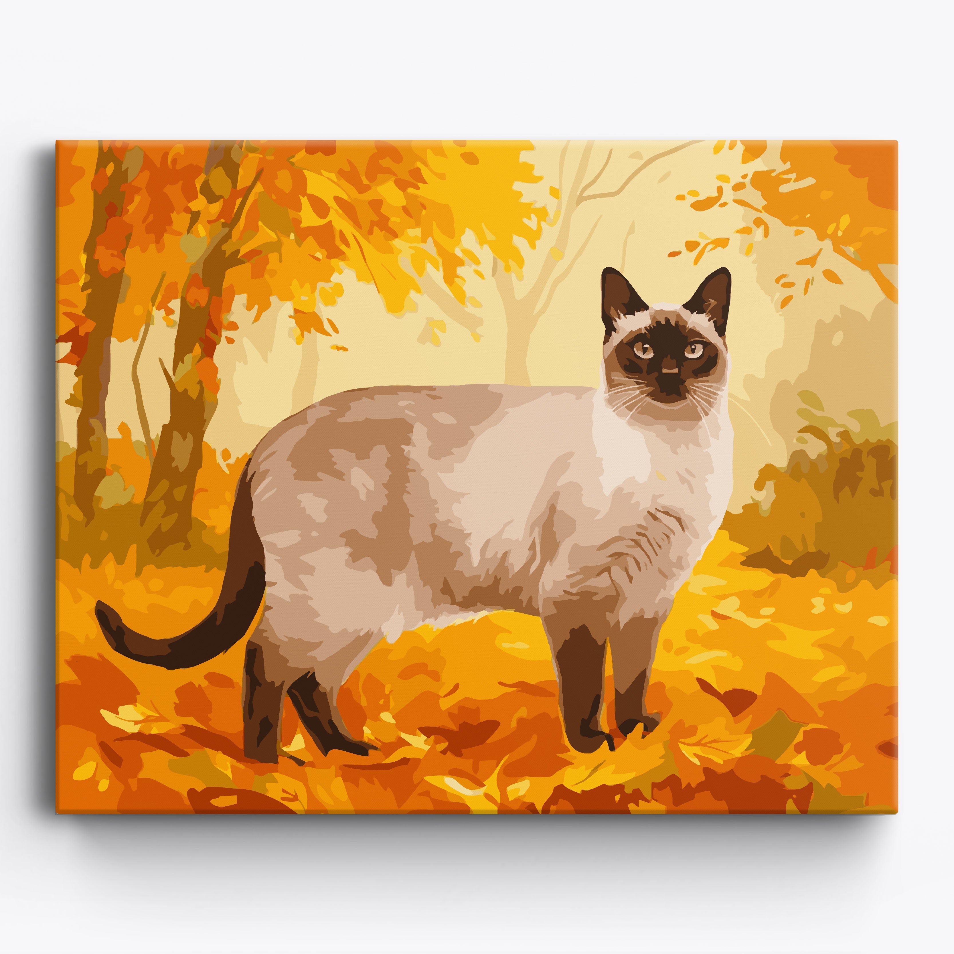 Siamese Falls Framed / 50x40cm