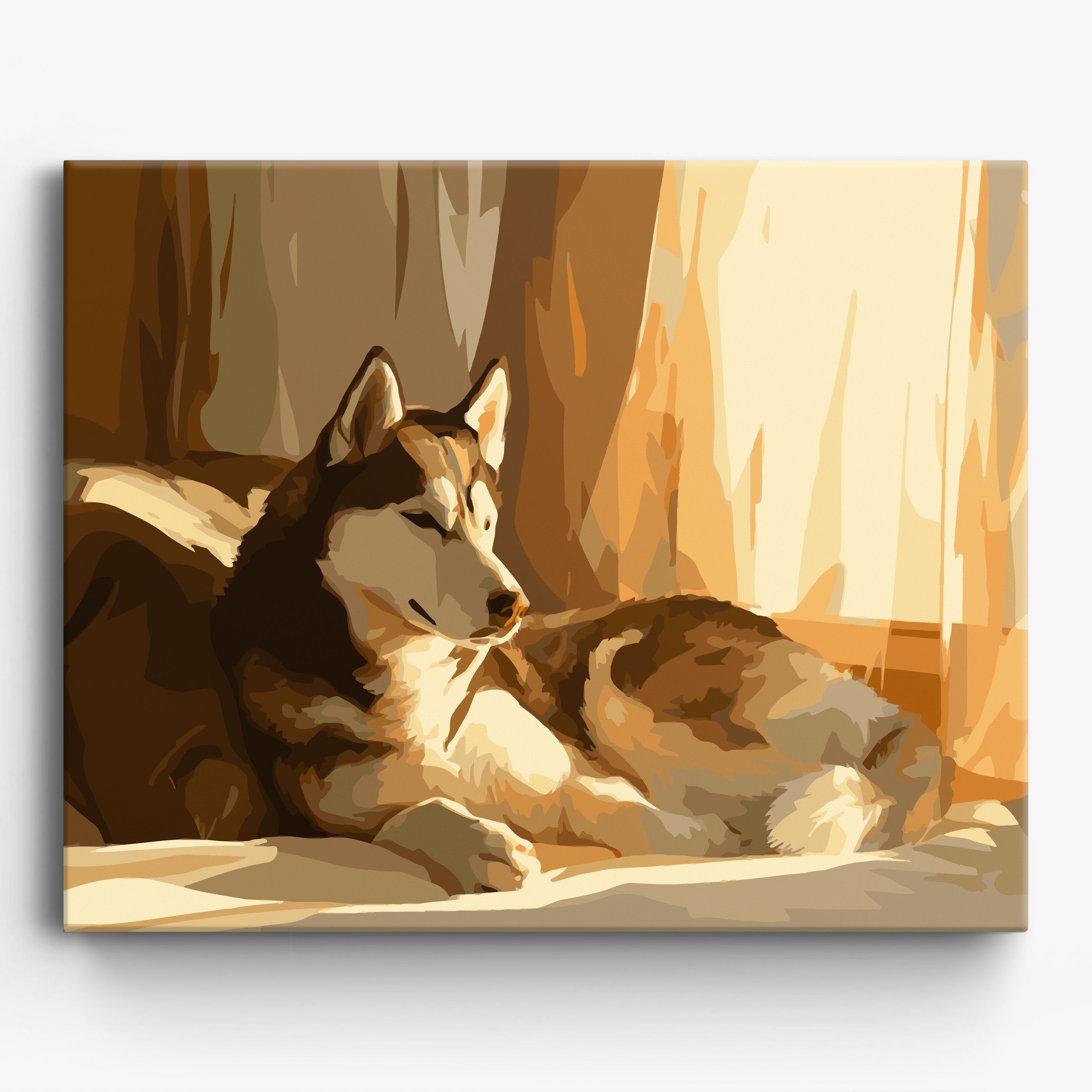 Sleepy Siberian Husky Framed / 50x40cm