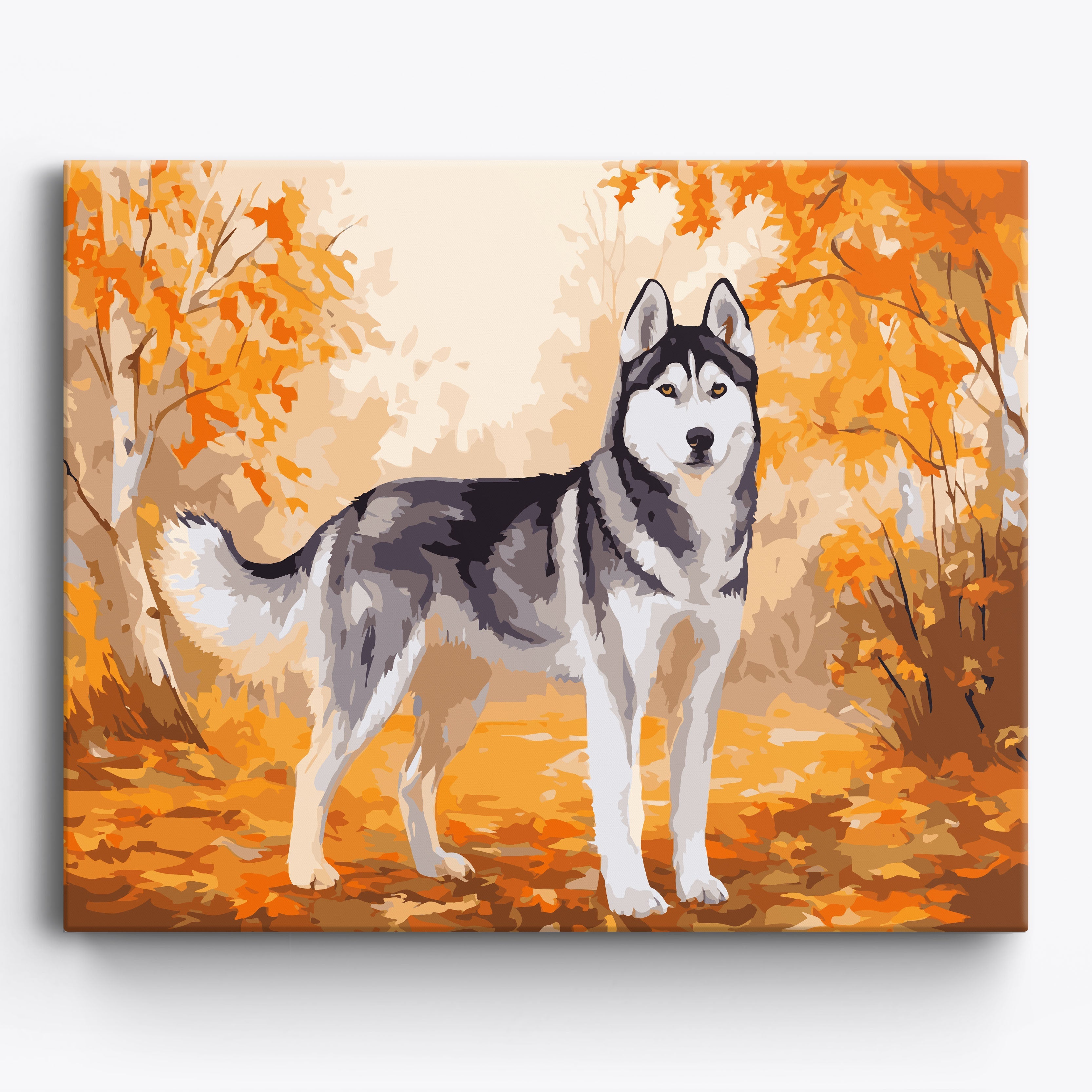 Fall Husky Framed / 50x40cm
