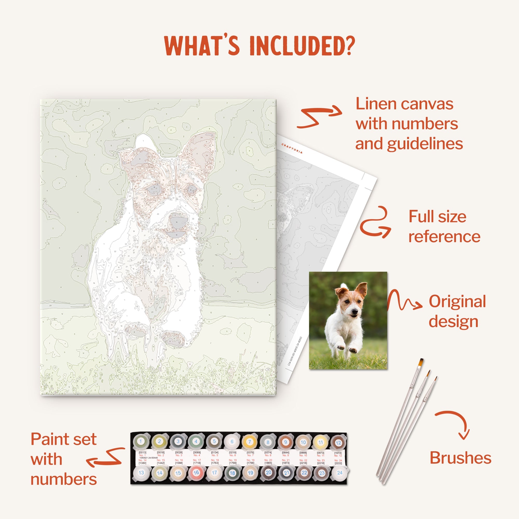 Playfully Painted Pooch