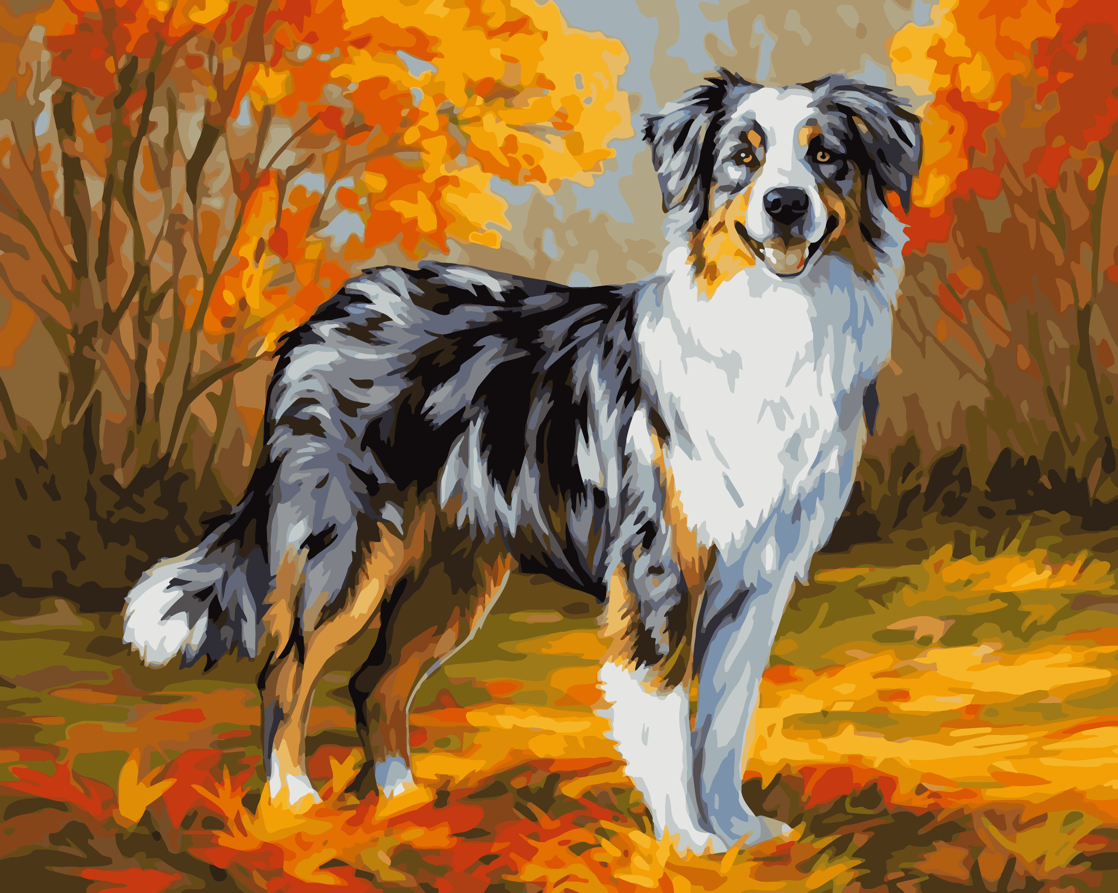 Autumn Australian Shepherd