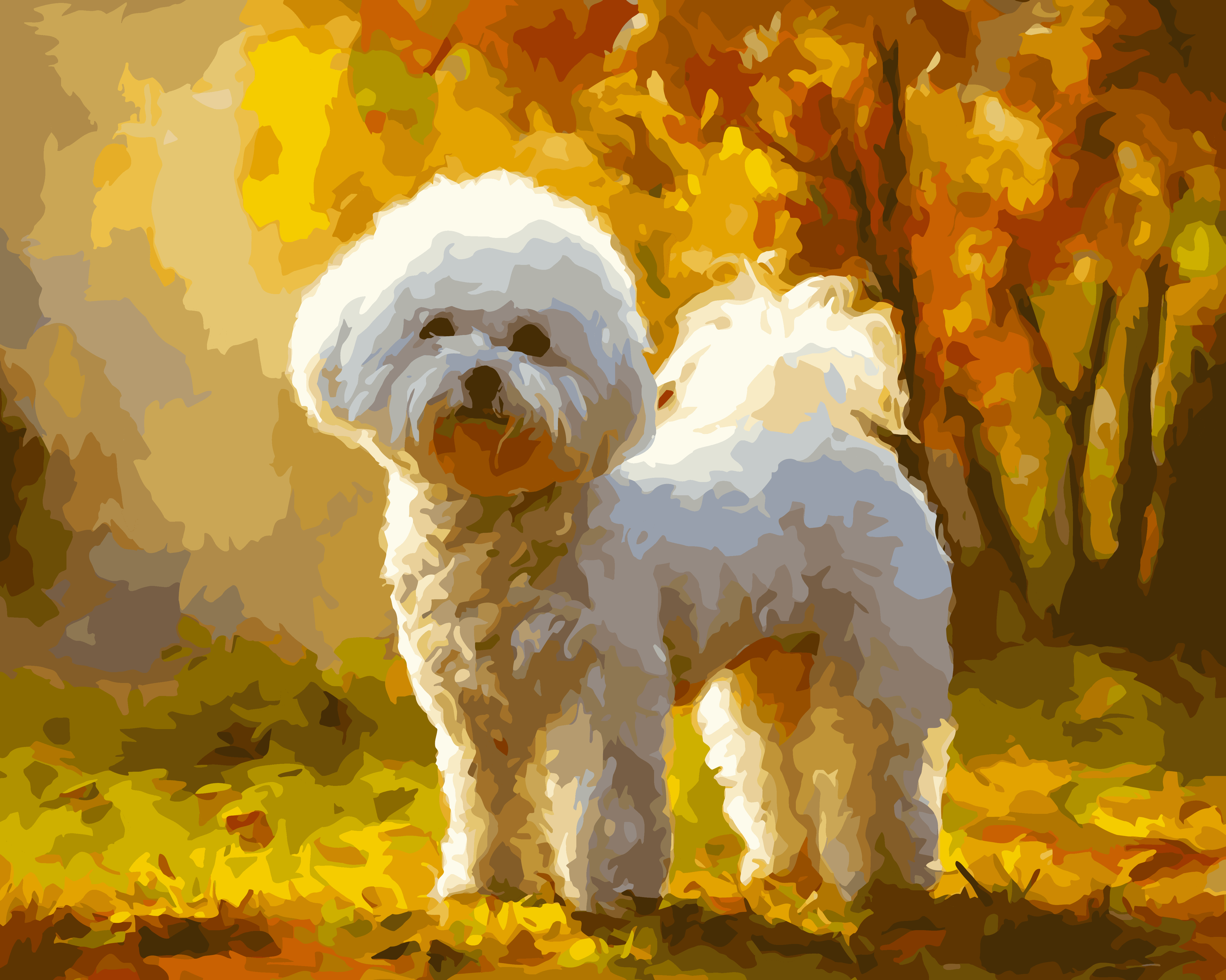 Autumn Bichon Frise