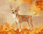 Chihuahua Autumn