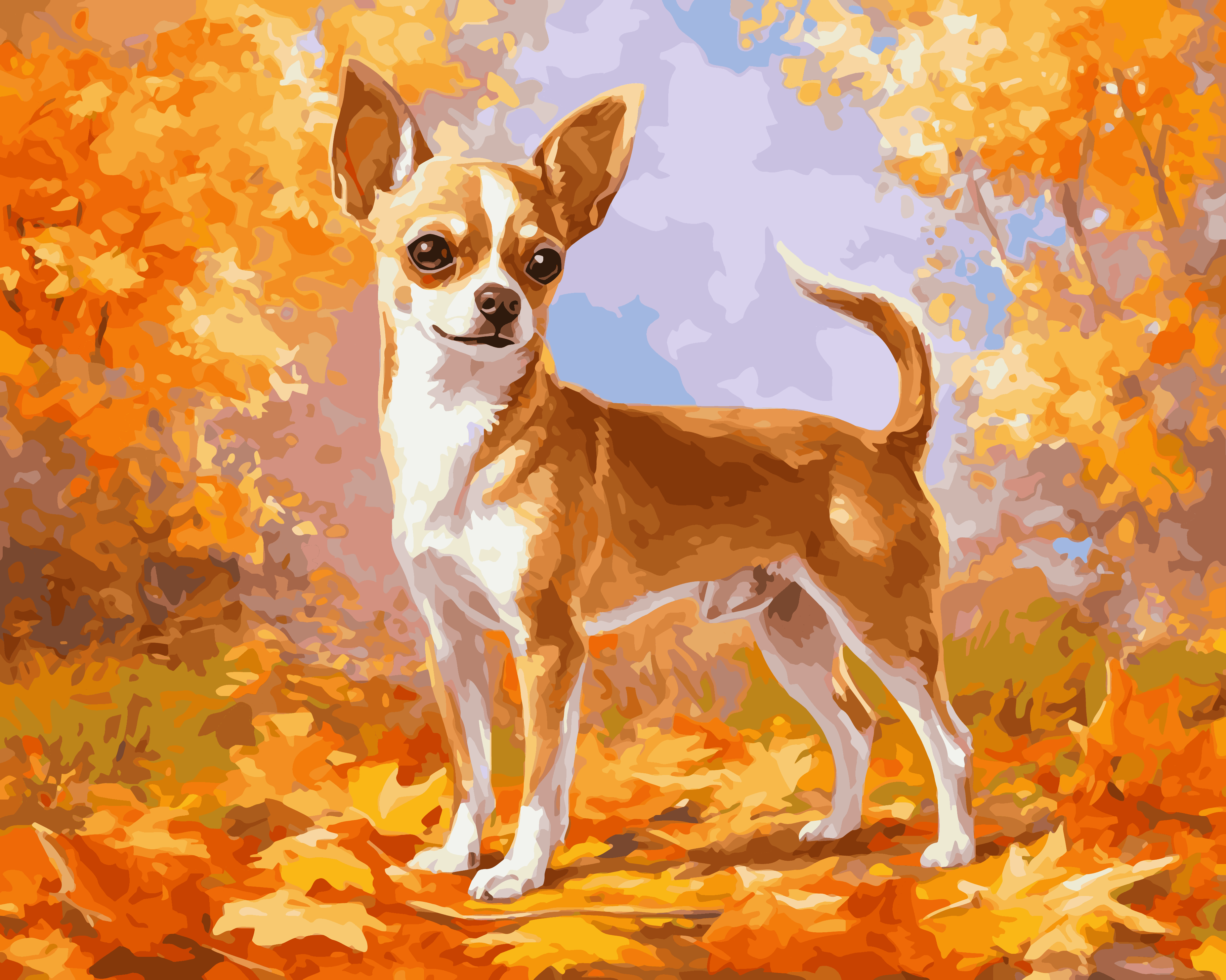 Autumn Chihuahua