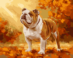 Autumn English Bulldog