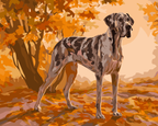 Autumn Great Dane