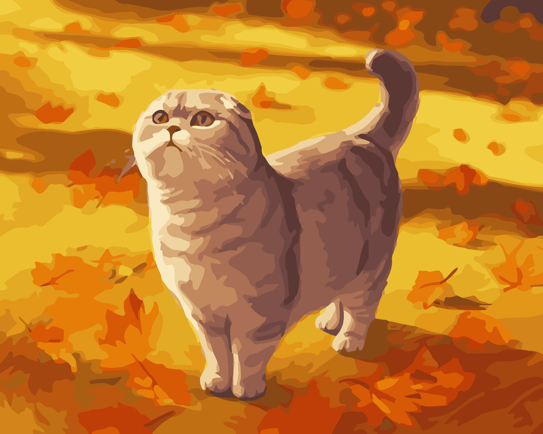 Autumn Scottish Fold