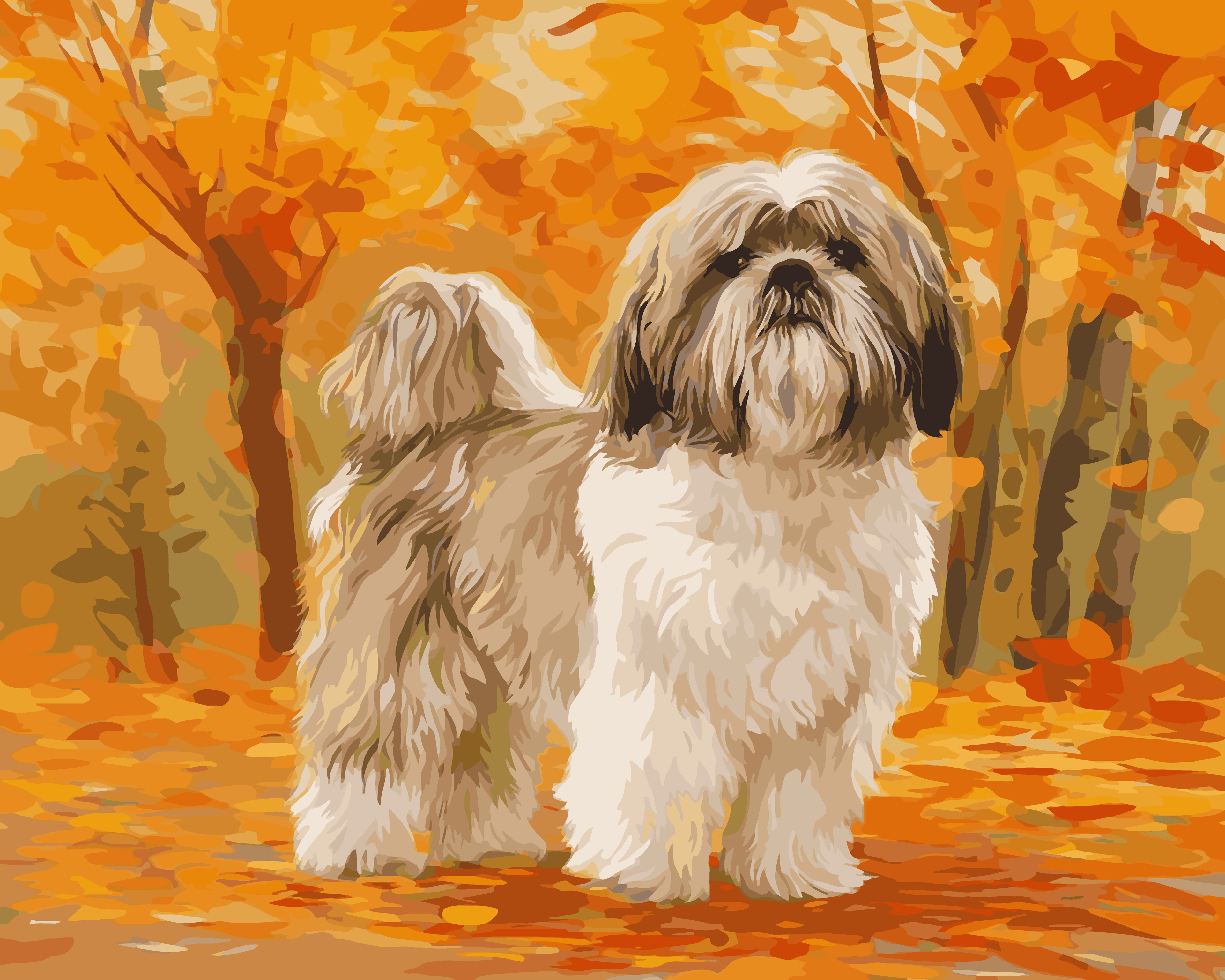 Shih Tzu Stroll