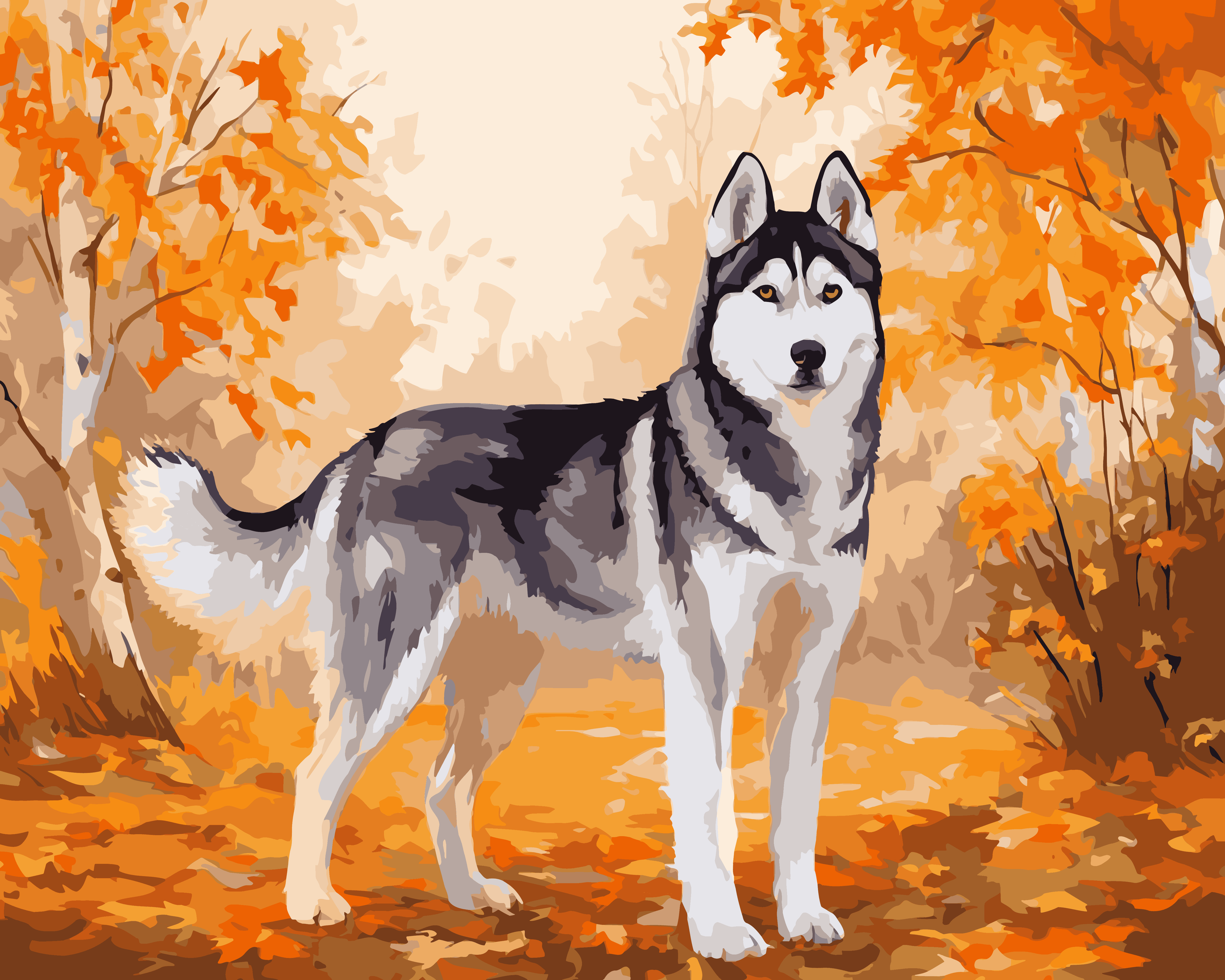 Fall Husky