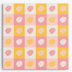 Monstera Medley Mini Kit