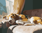 Sleepy Beagle